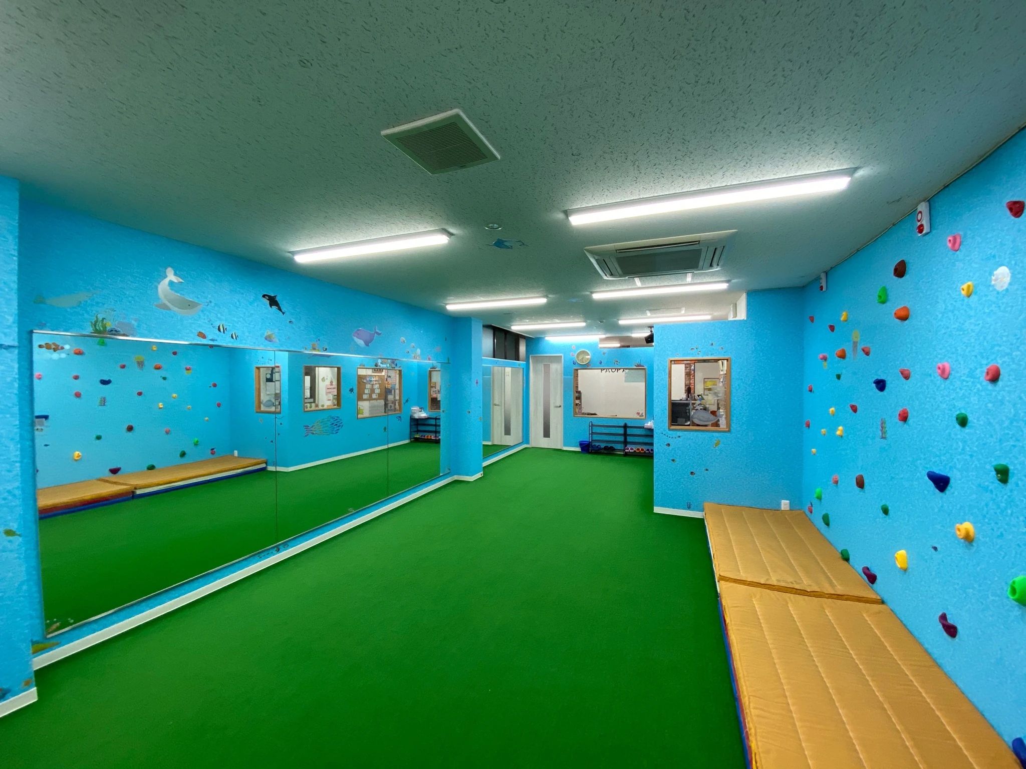 パオパオスポーツクラブ 運動・体操・陸上 下高井戸校のメイン画像