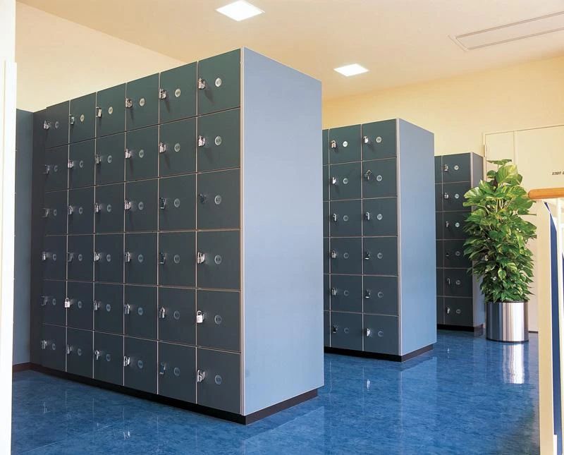 CENTRALSPORTS(セントラルスポーツ) 運動・体操・陸上 セントラルウェルネスクラブ24 東十条のサムネイル画像 4