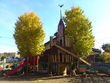 RINASCENTE(リナシャンテ) 運動・体操・陸上 立川かしの木幼稚園のメイン画像