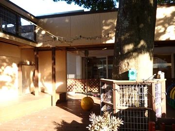 RINASCENTE(リナシャンテ) 運動・体操・陸上 立川かしの木幼稚園のサムネイル画像 2