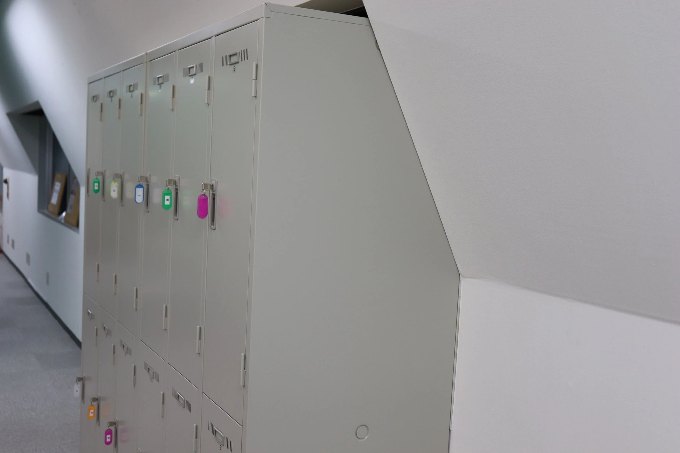 WINGATE(ウィンゲート) 運動・体操・陸上 ウィンゲート・トレーニングセンターのサムネイル画像 5