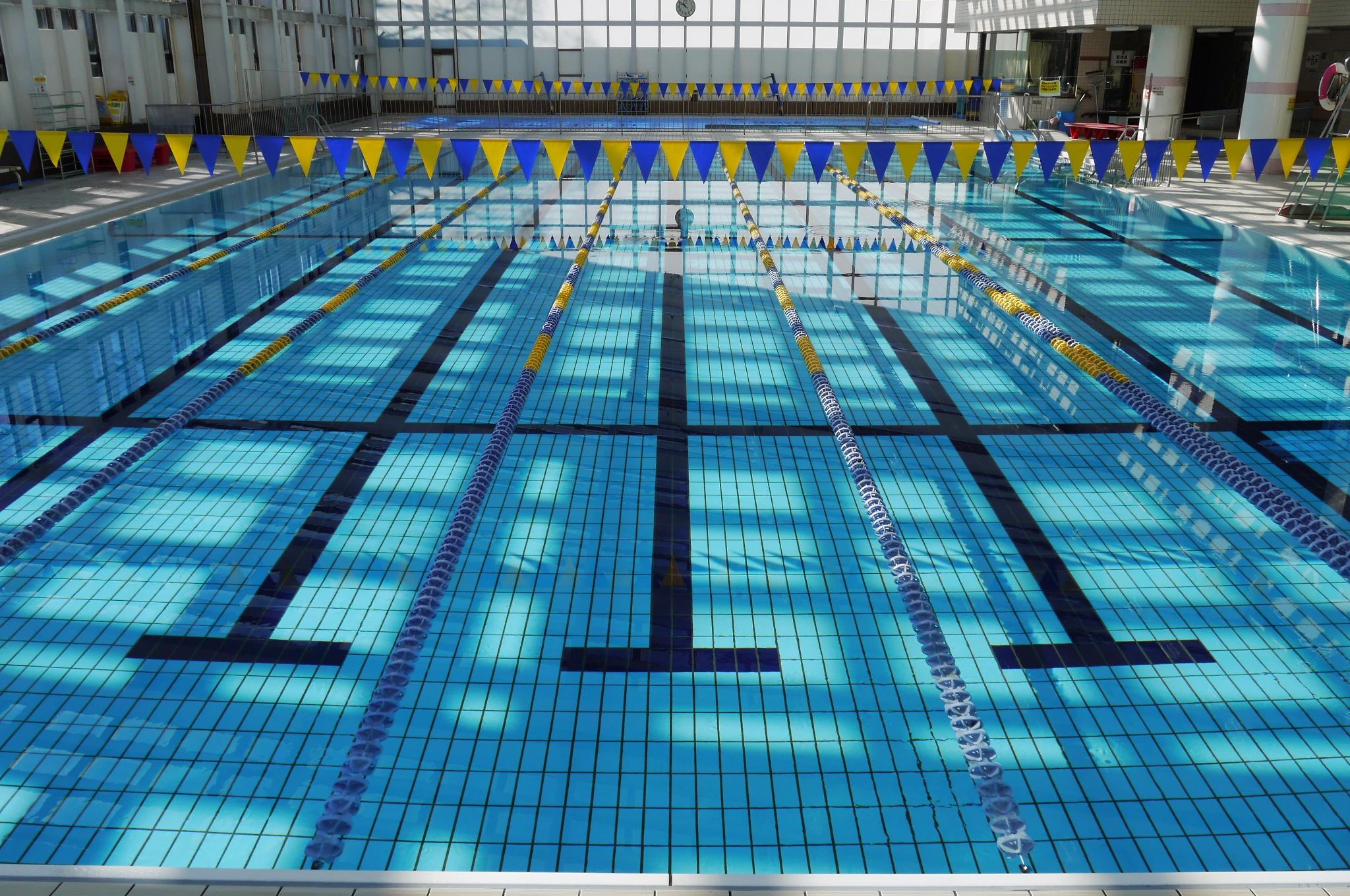 東調布公園プール 運動・体操・陸上 南雪谷教室のメイン画像