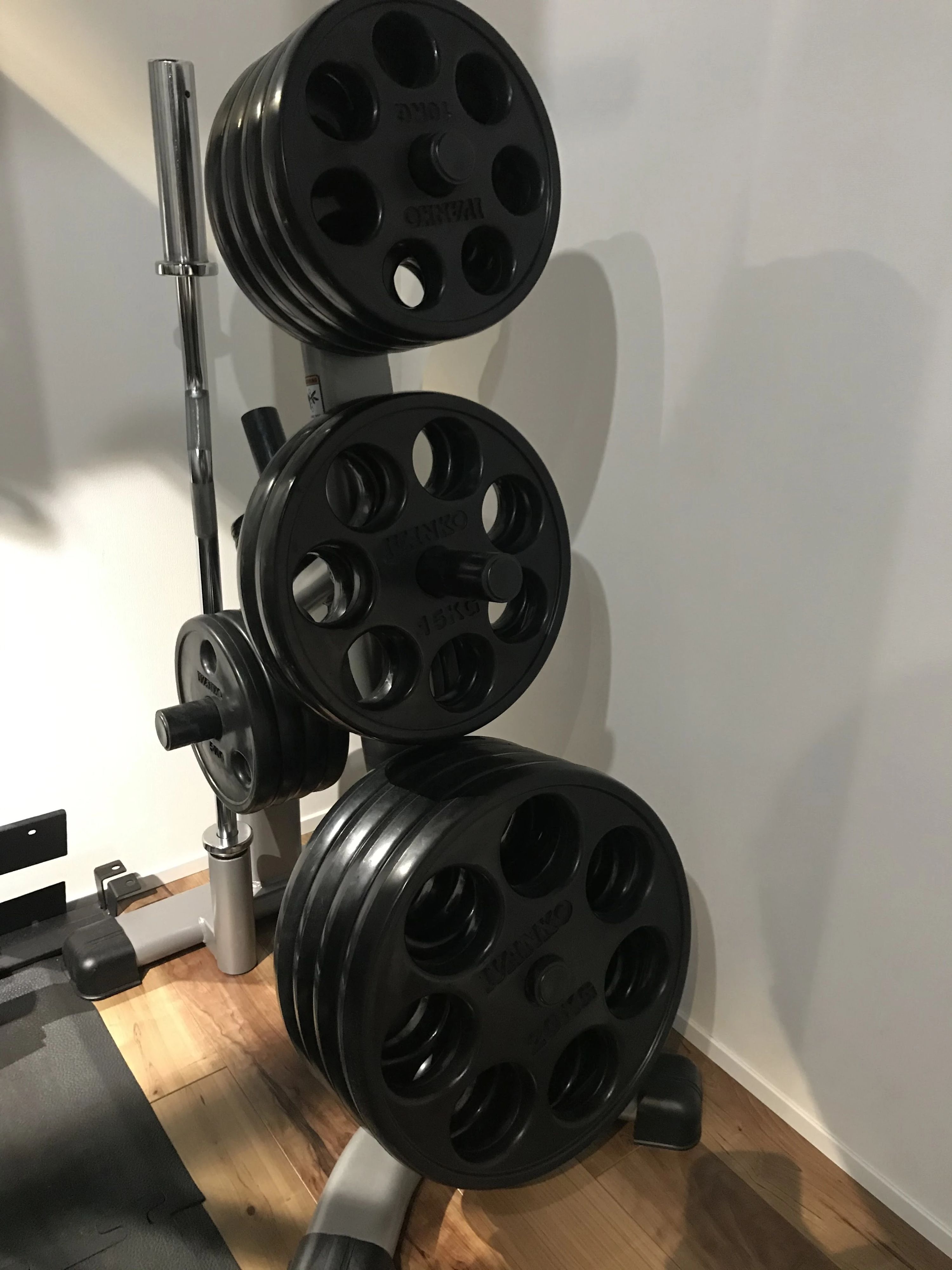 ALL AGES 運動・体操・陸上 砧教室のサムネイル画像 2