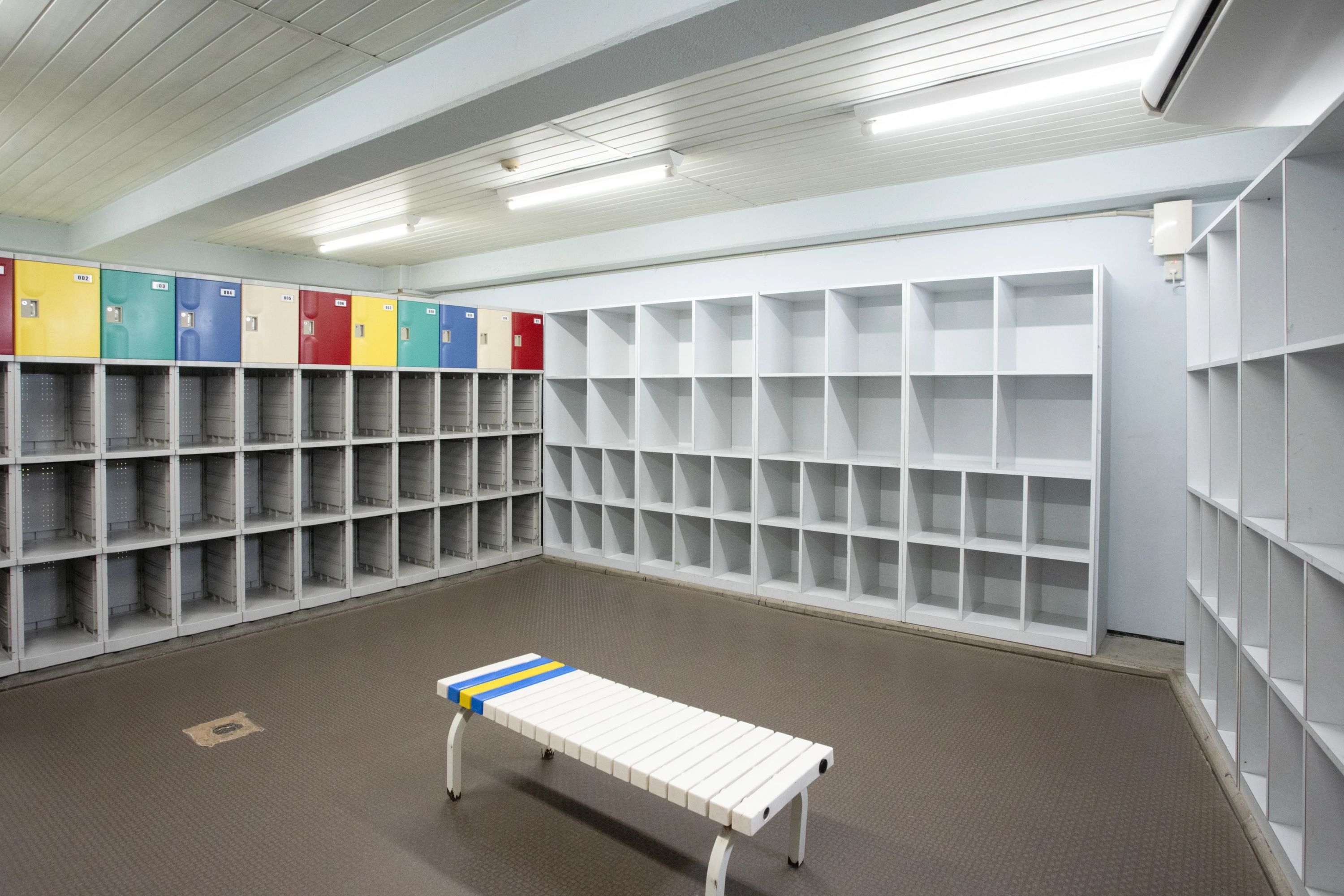 林水泳教室 運動・体操・陸上 若松町教室のサムネイル画像 4