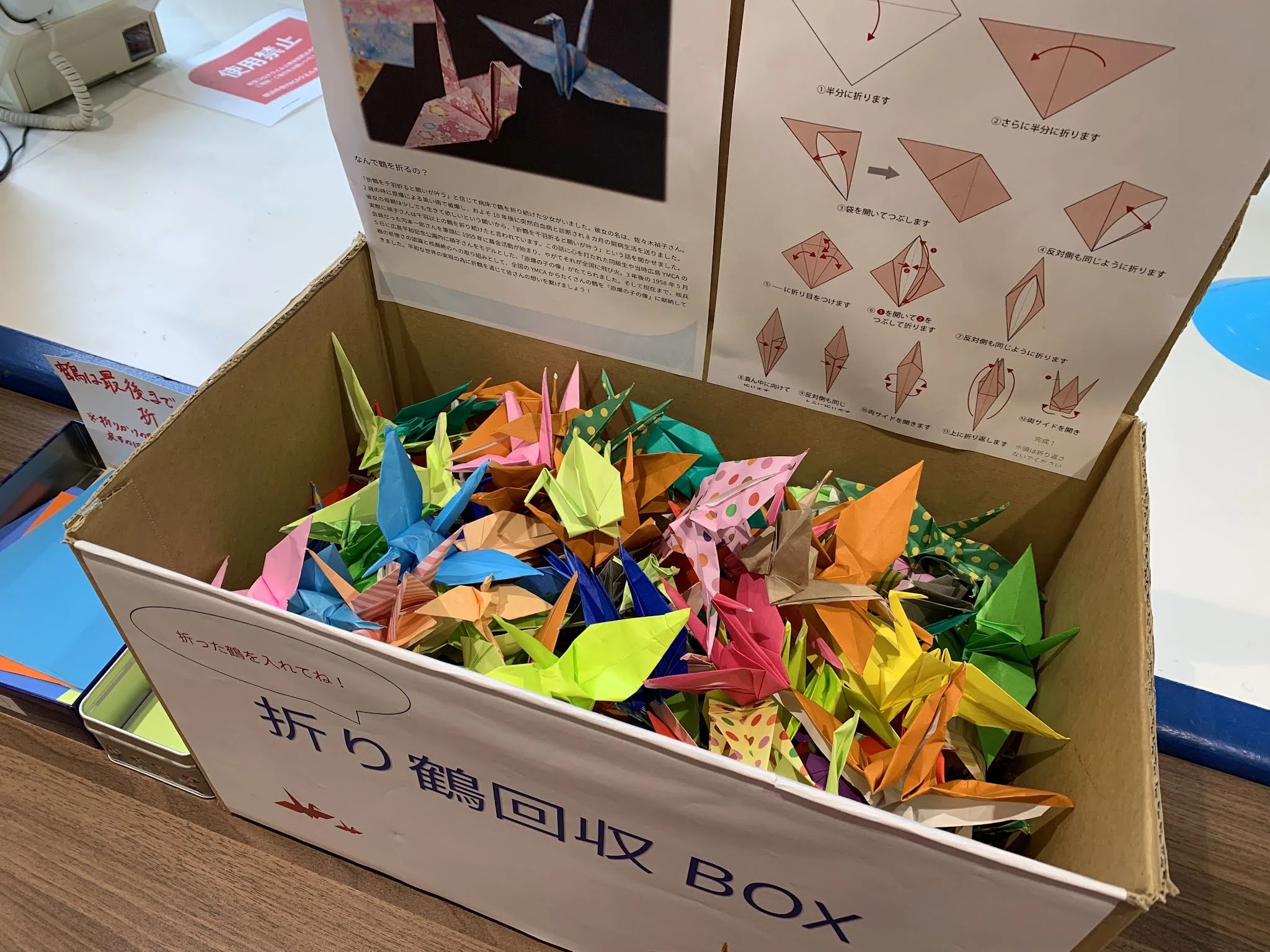 横浜YMCA 運動・体操・陸上 横浜中央YMCAウエルネススポーツクラブのサムネイル画像 5