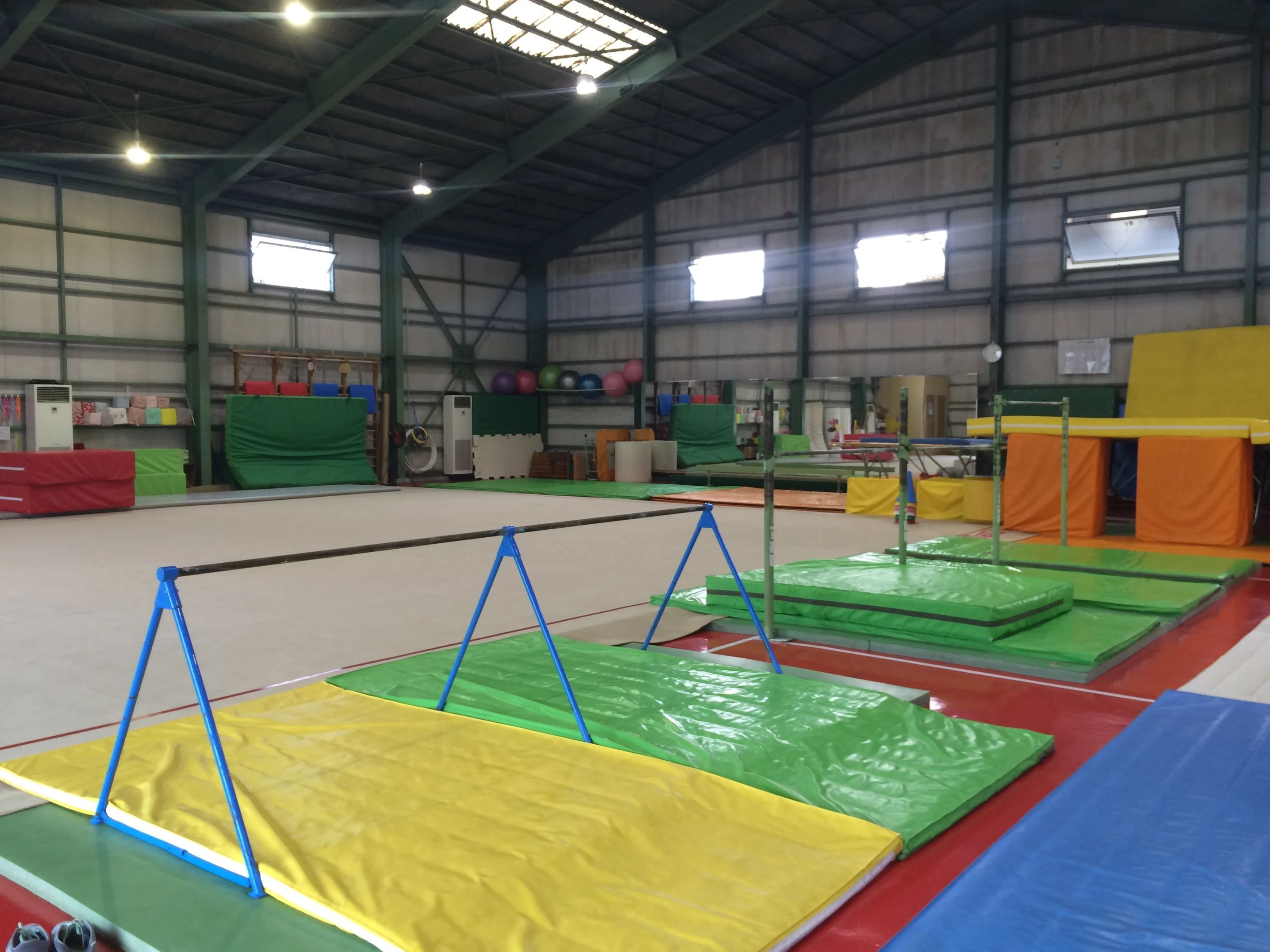 Joysports Club(ジョイスポーツクラブ) 運動・体操・陸上 相模原わくわくのサムネイル画像 4