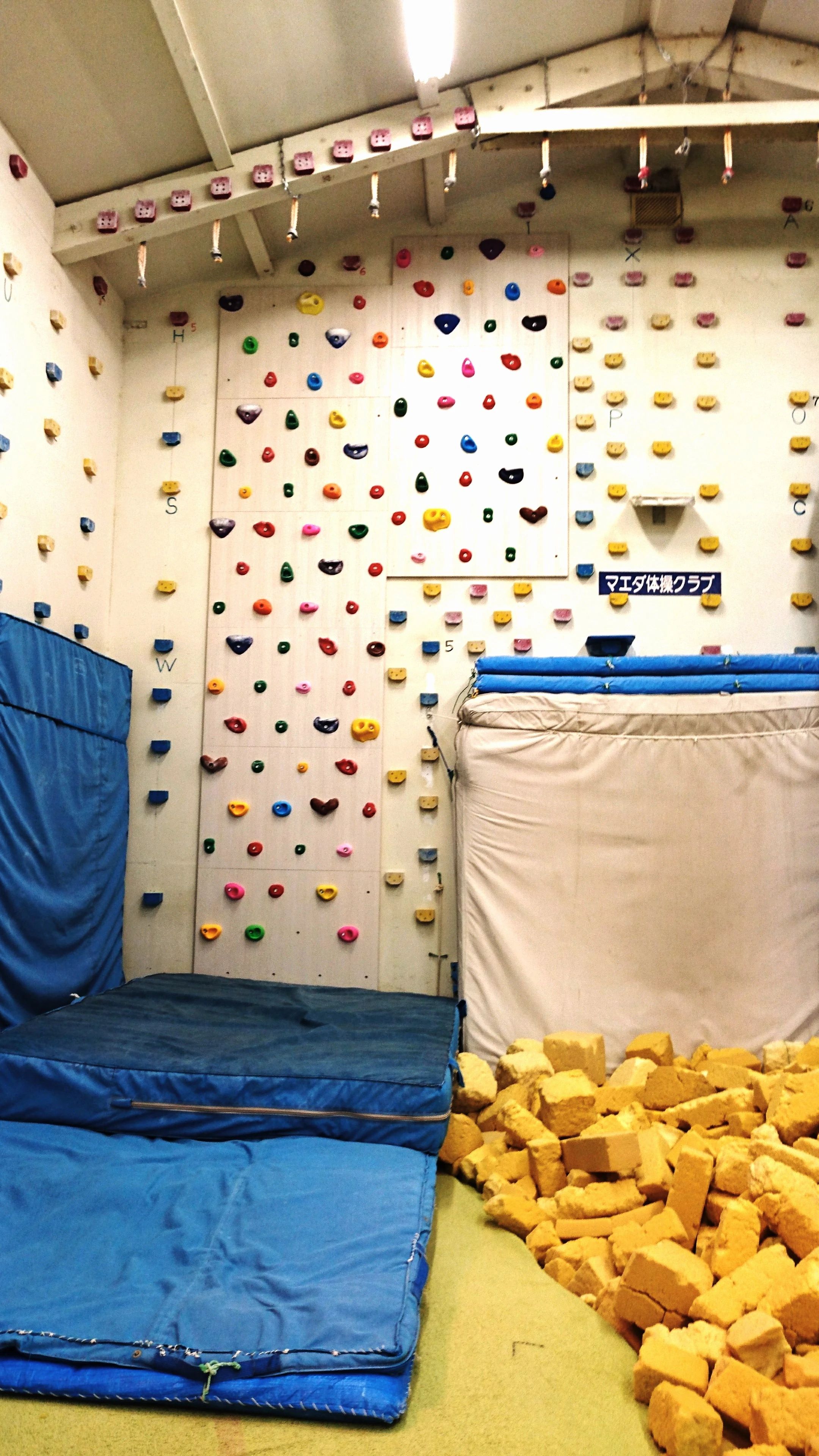 マエダ体操クラブ 鴨居教室のメイン画像