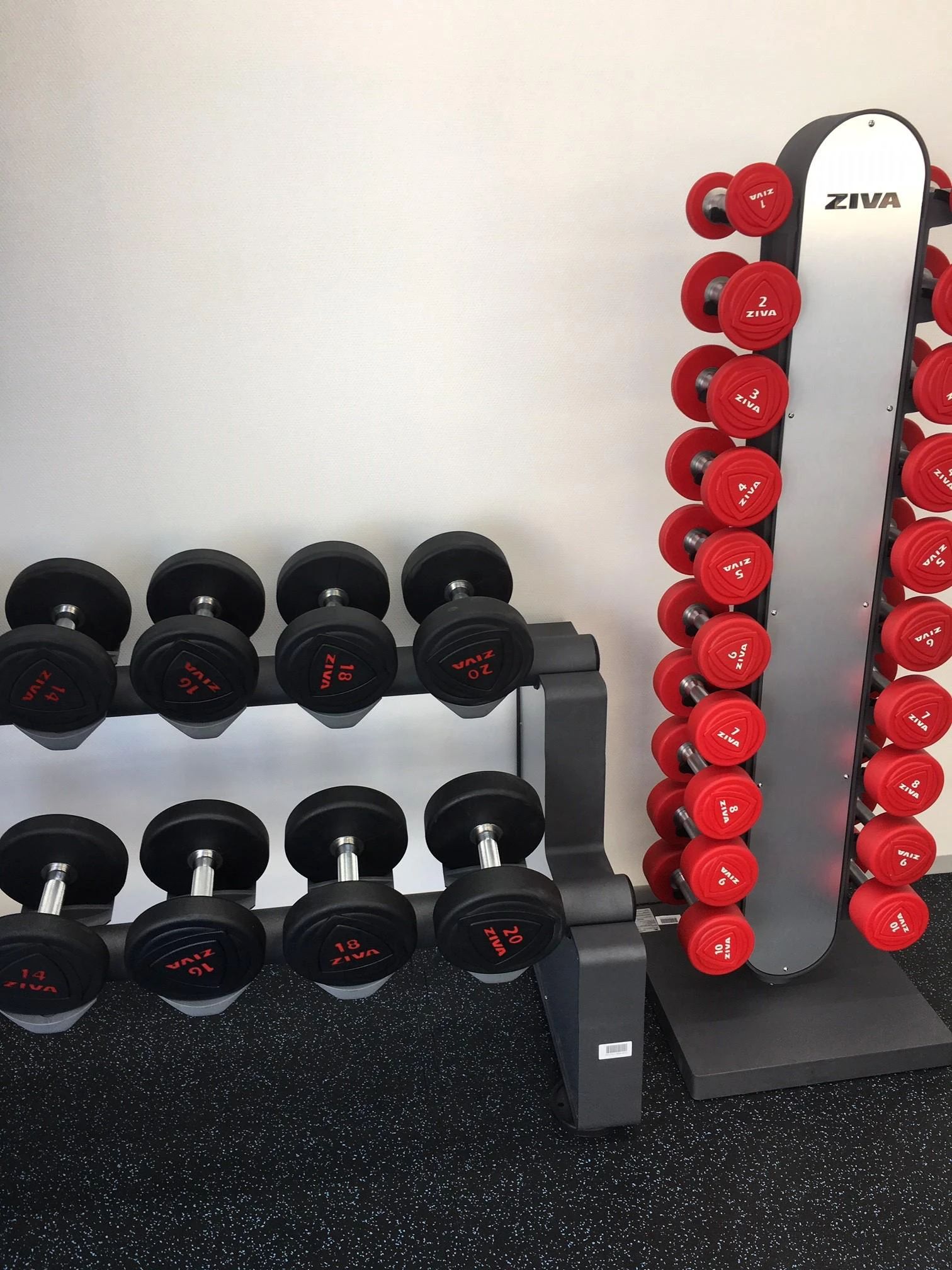 CENTRALSPORTS(セントラルスポーツ) 運動・体操・陸上 セントラルスポーツ ジム24 蕨のメイン画像