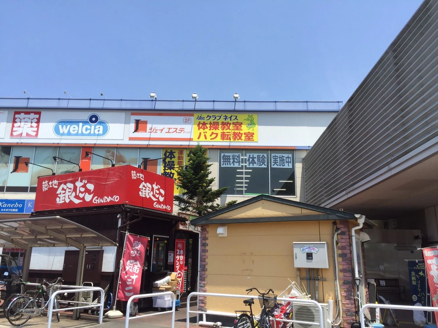 ネイス体操教室 イオンタウン野田七光台校のサムネイル画像 4