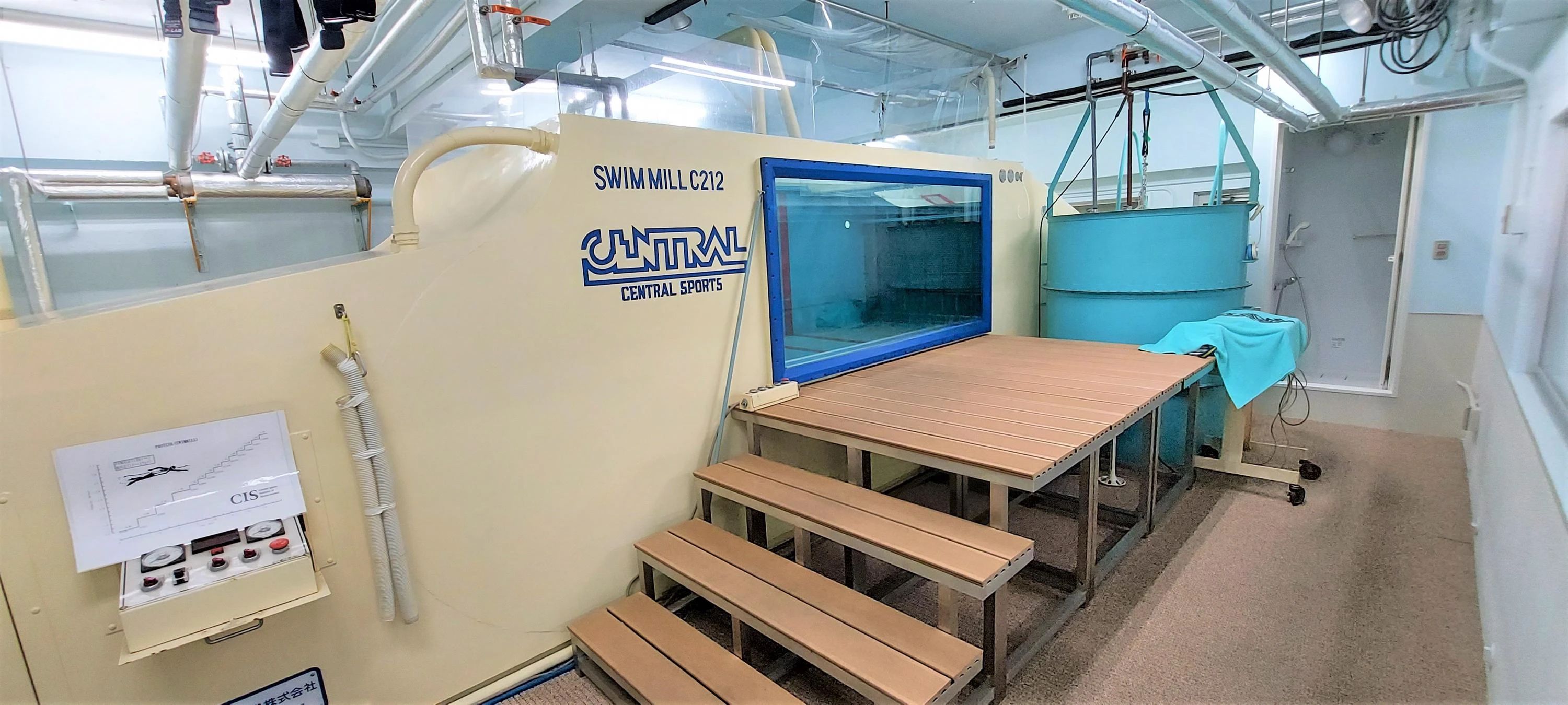 CENTRALSPORTS(セントラルスポーツ) 運動・体操・陸上 セントラルスイムクラブ 南行徳のメイン画像