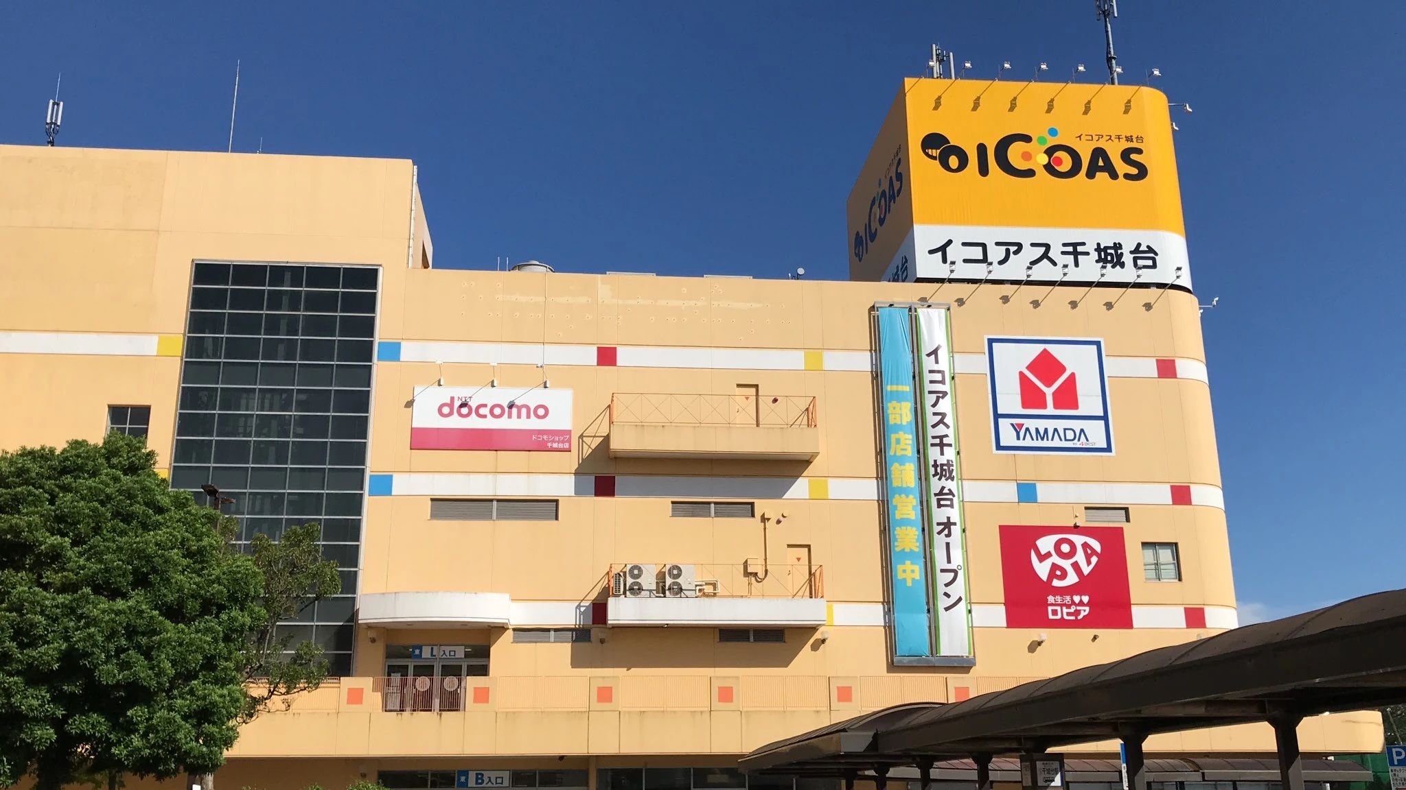 bigs(ビッグ・エス) 運動・体操・陸上 スポーツクラブ ビッグ・エス千城台のメイン画像