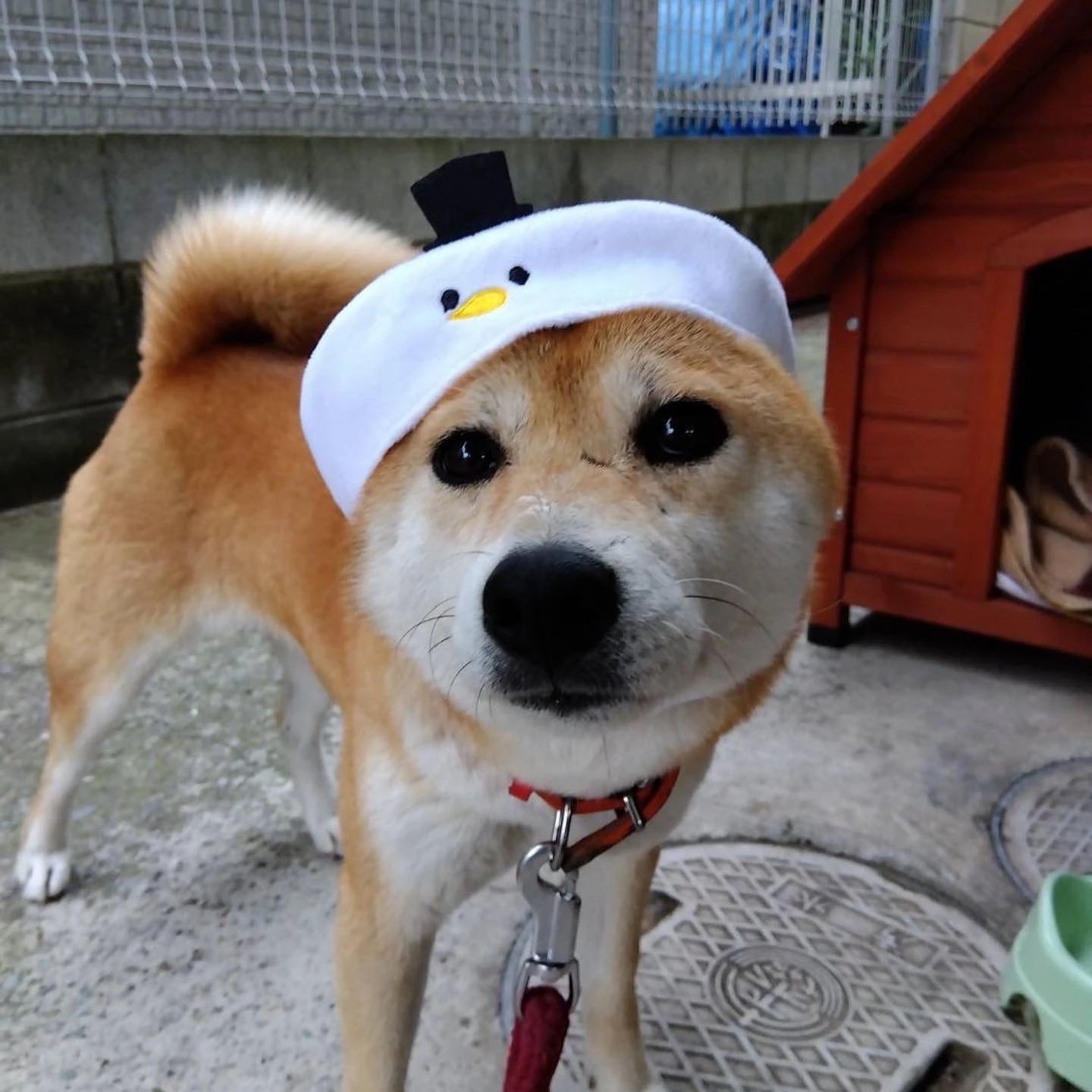 スポーツ鬼ごっこTeamからだ塾 運動・体操・陸上 勤労福祉センター本館のメイン画像