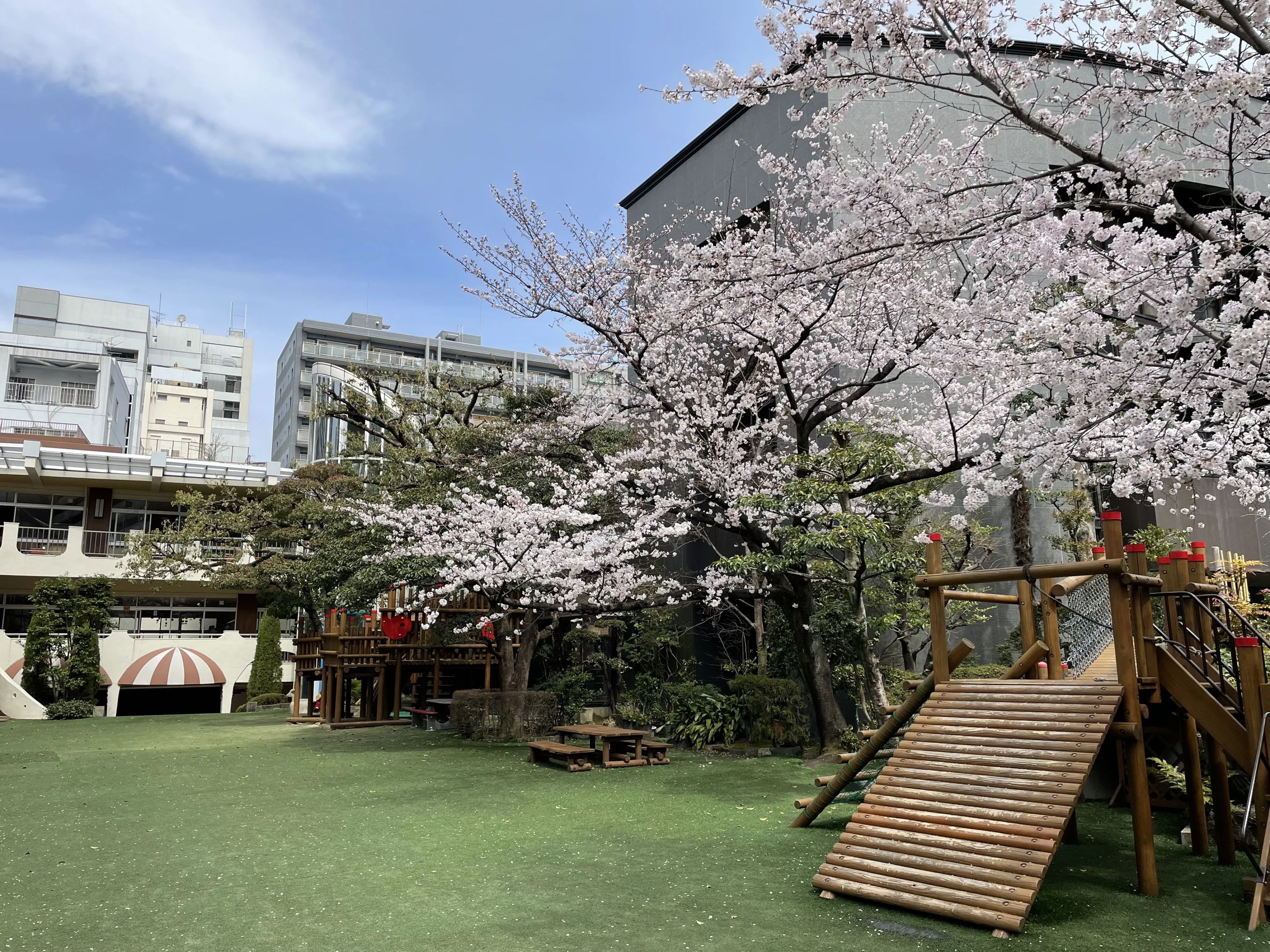 スマイルスポーツクラブ 運動・体操・陸上 東桜幼稚園教室のサムネイル画像 3