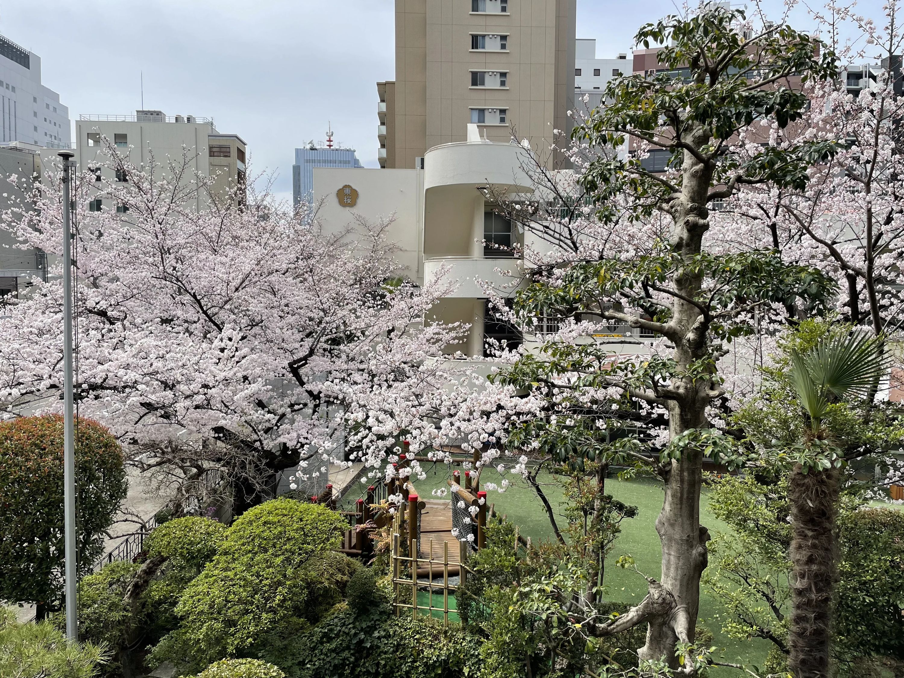 スマイルスポーツクラブ 運動・体操・陸上 東桜幼稚園教室のサムネイル画像 5