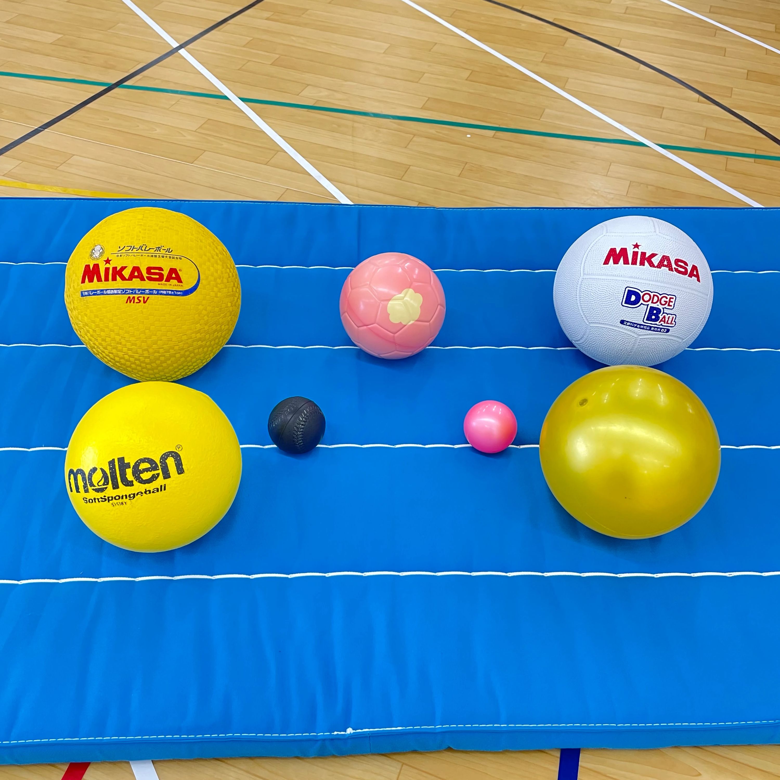 JC(ジュニアクラブ) 運動・体操・陸上 星ヶ丘教室のサムネイル画像 3