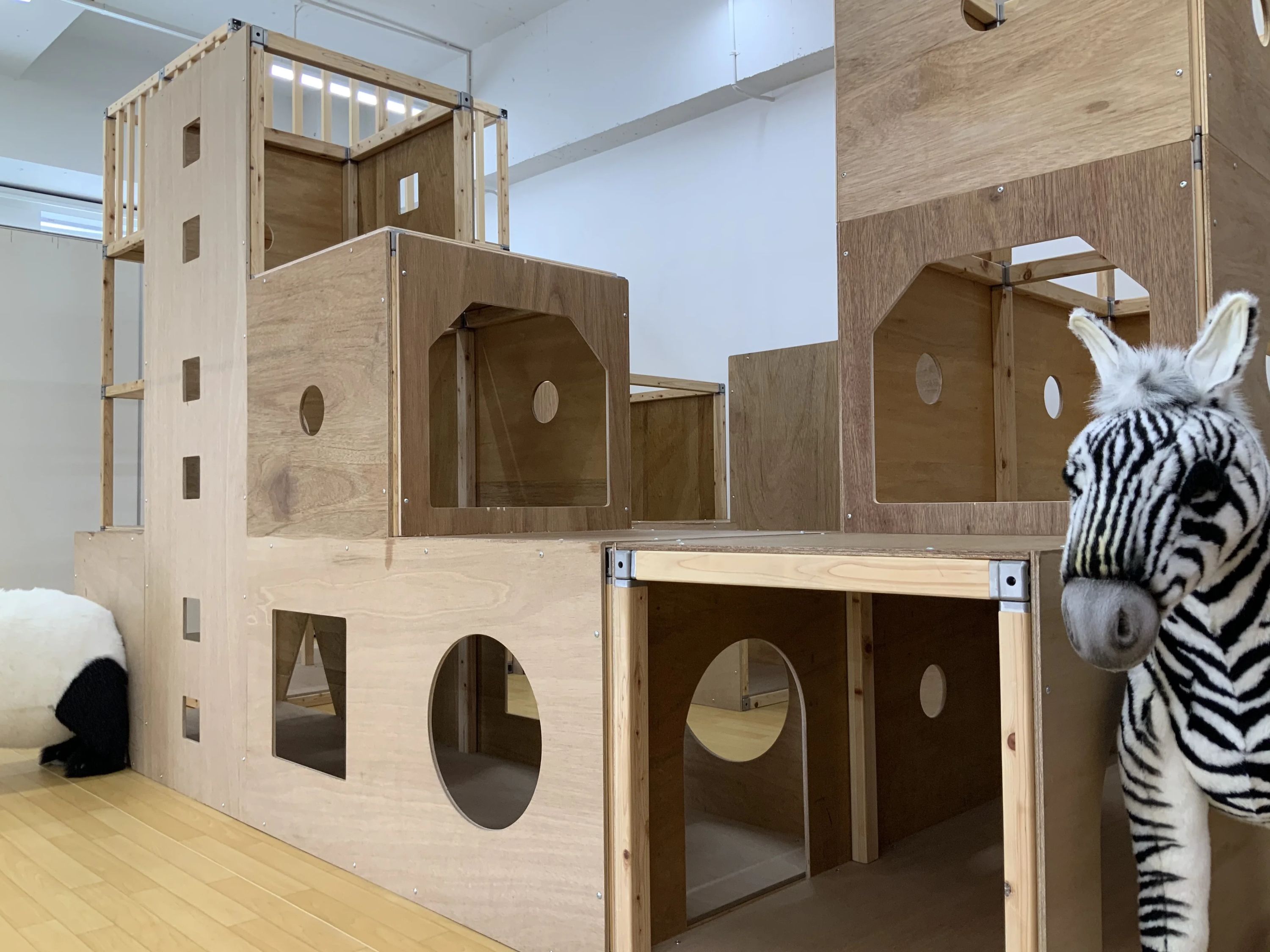 JC(ジュニアクラブ) 運動・体操・陸上 星ヶ丘教室のメイン画像