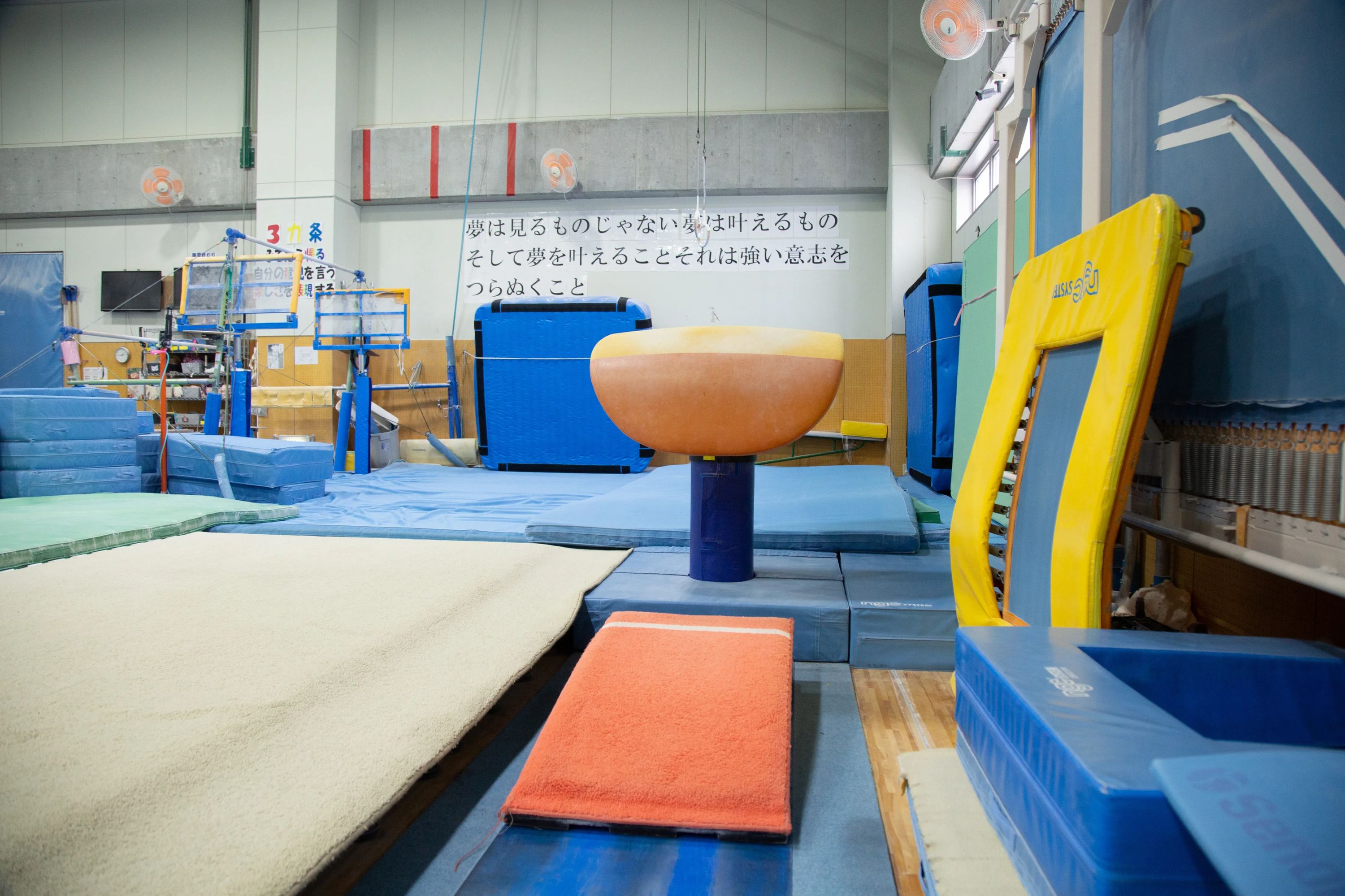 なんば体操クラブ なんば教室のサムネイル画像 5