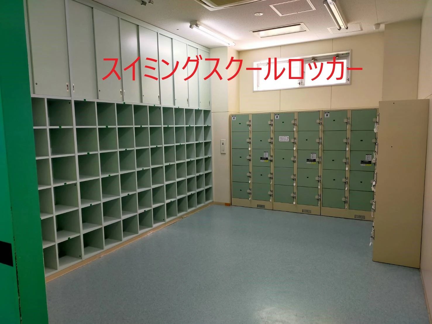 HIRAKATA(枚方)フィットネスクラブ 運動・体操・陸上 牧野スポーツクラブのサムネイル画像 5