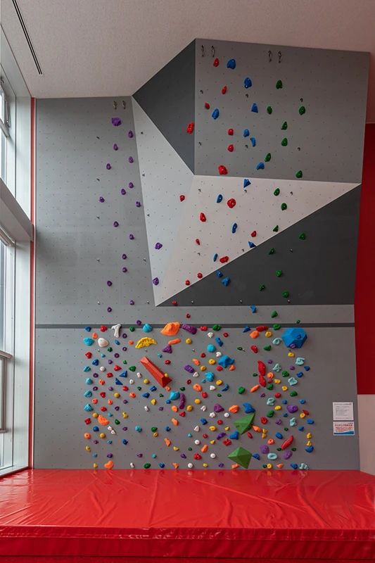 スポーツクラブNAS 運動・体操・陸上 小阪のメイン画像