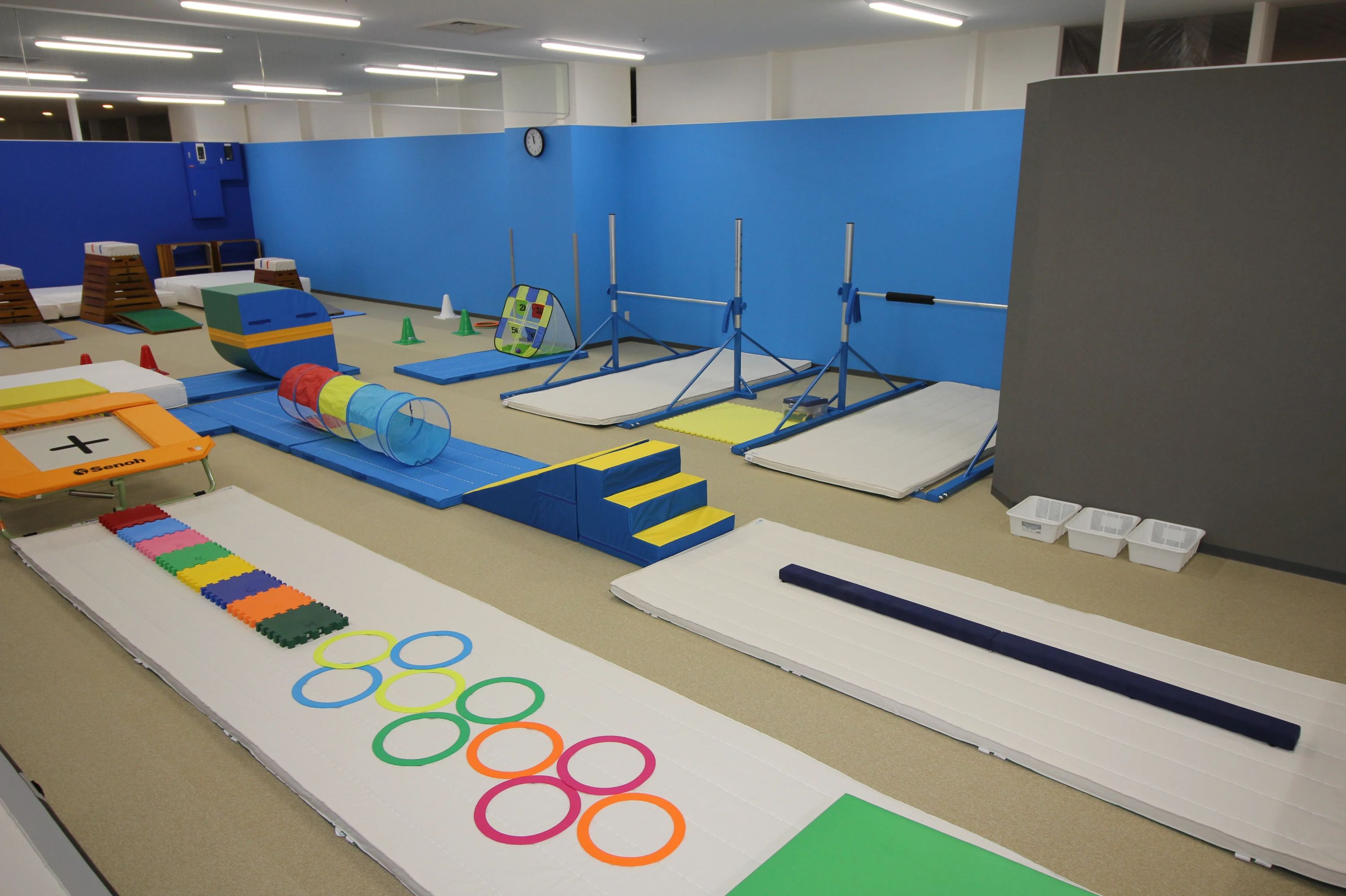 HOS 運動・体操・陸上 HOS 茨木体操教室のメイン画像