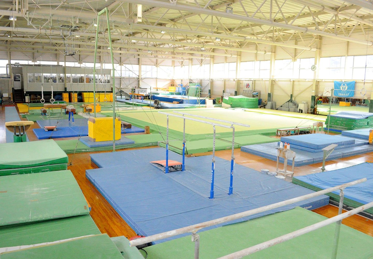 トップスポーツクラブ 運動・体操・陸上 大阪体育大学のメイン画像