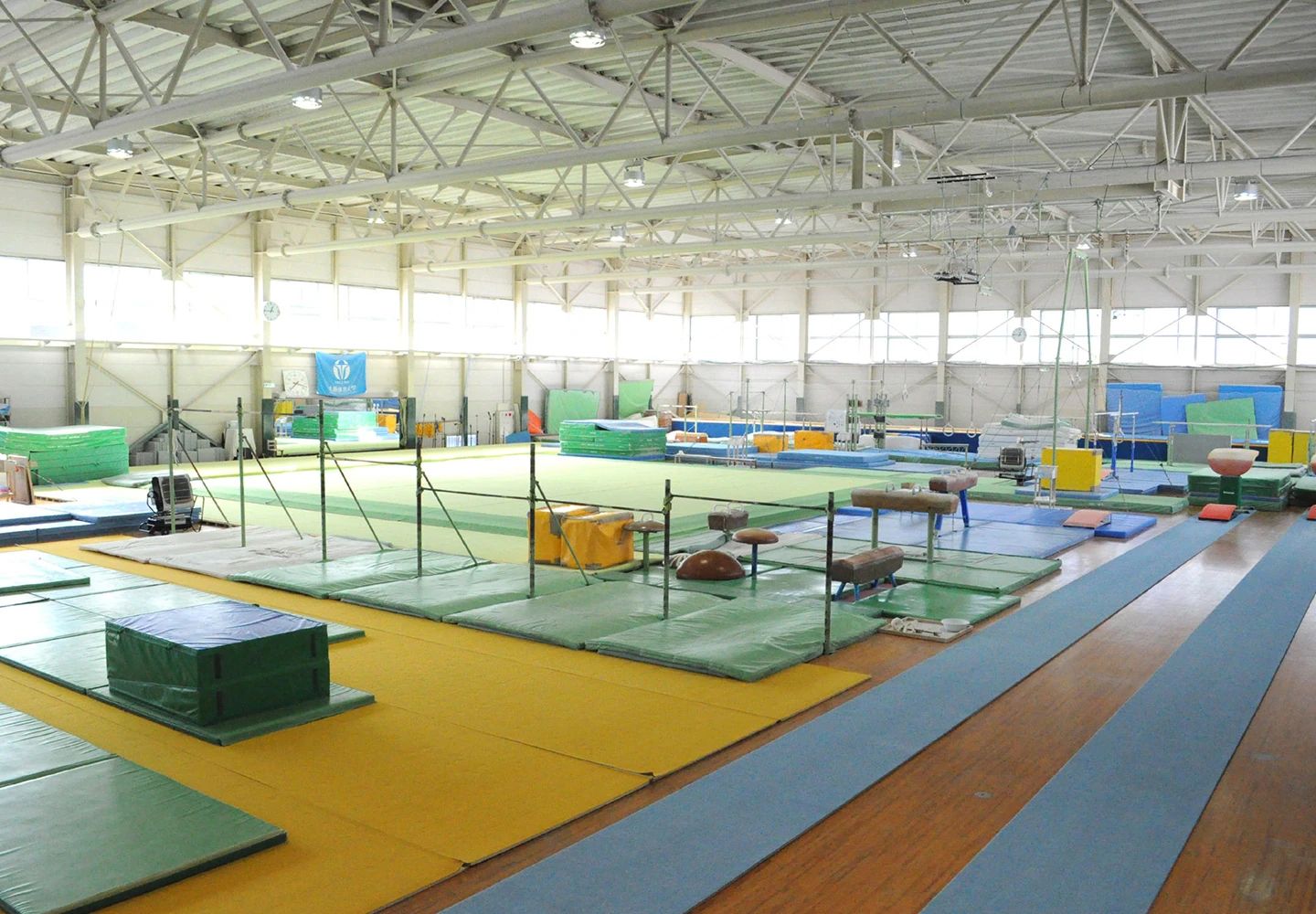 トップスポーツクラブ 運動・体操・陸上 大阪体育大学のサムネイル画像 2