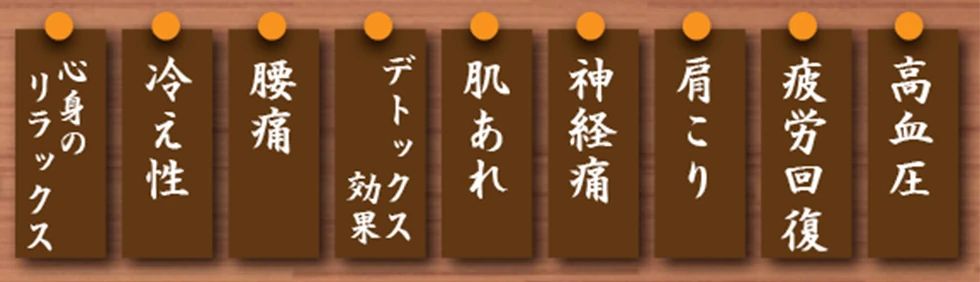 N.S.I 運動・体操・陸上 NSIスポーツクラブ鶴見のサムネイル画像 3