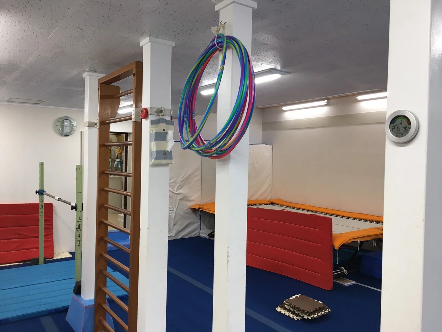 ACE(エース)体操クラブ 上野東教室のサムネイル画像 2