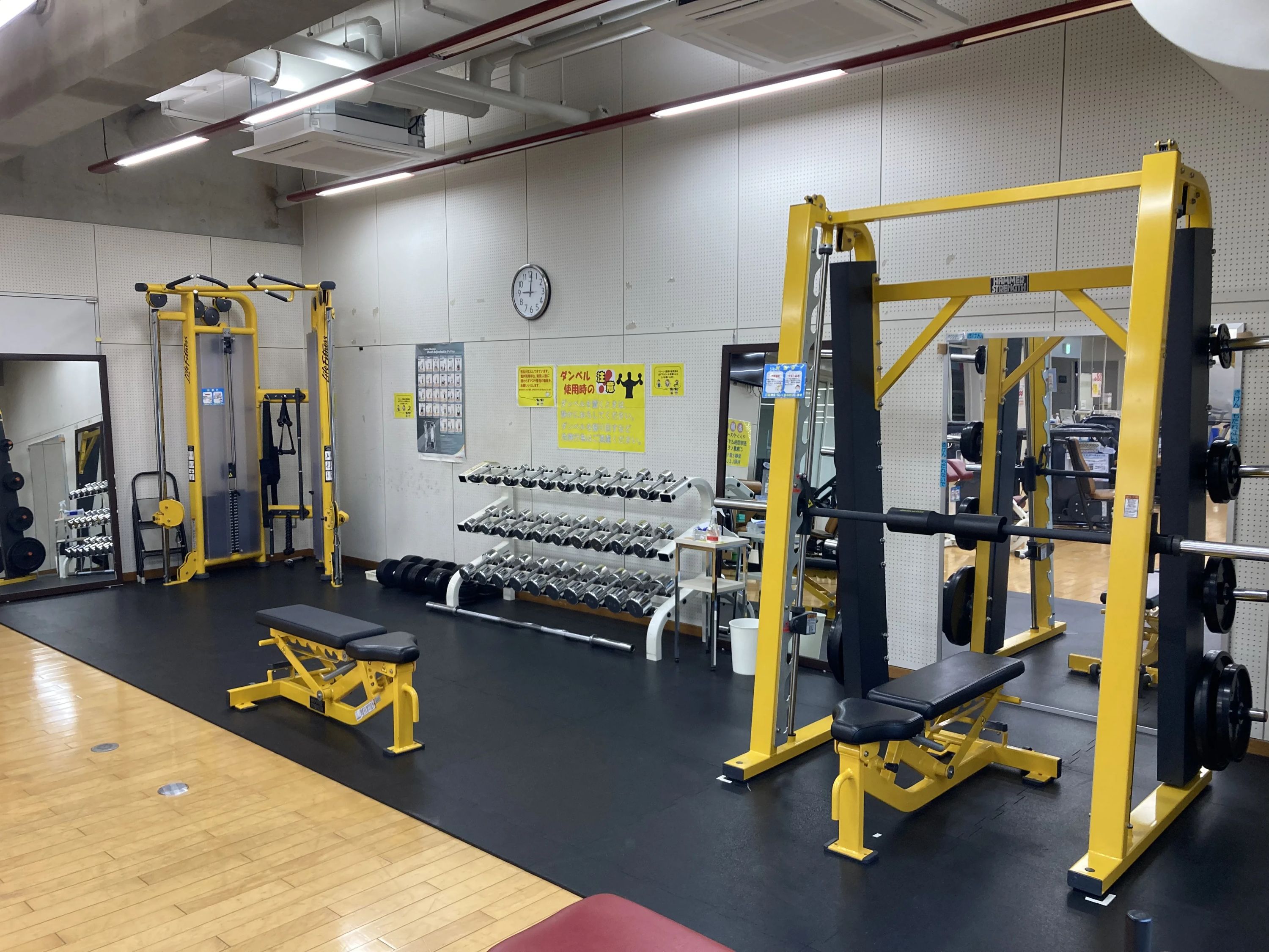 Holly EIWA(ハリーえいわ) 運動・体操・陸上 永和教室のサムネイル画像 4