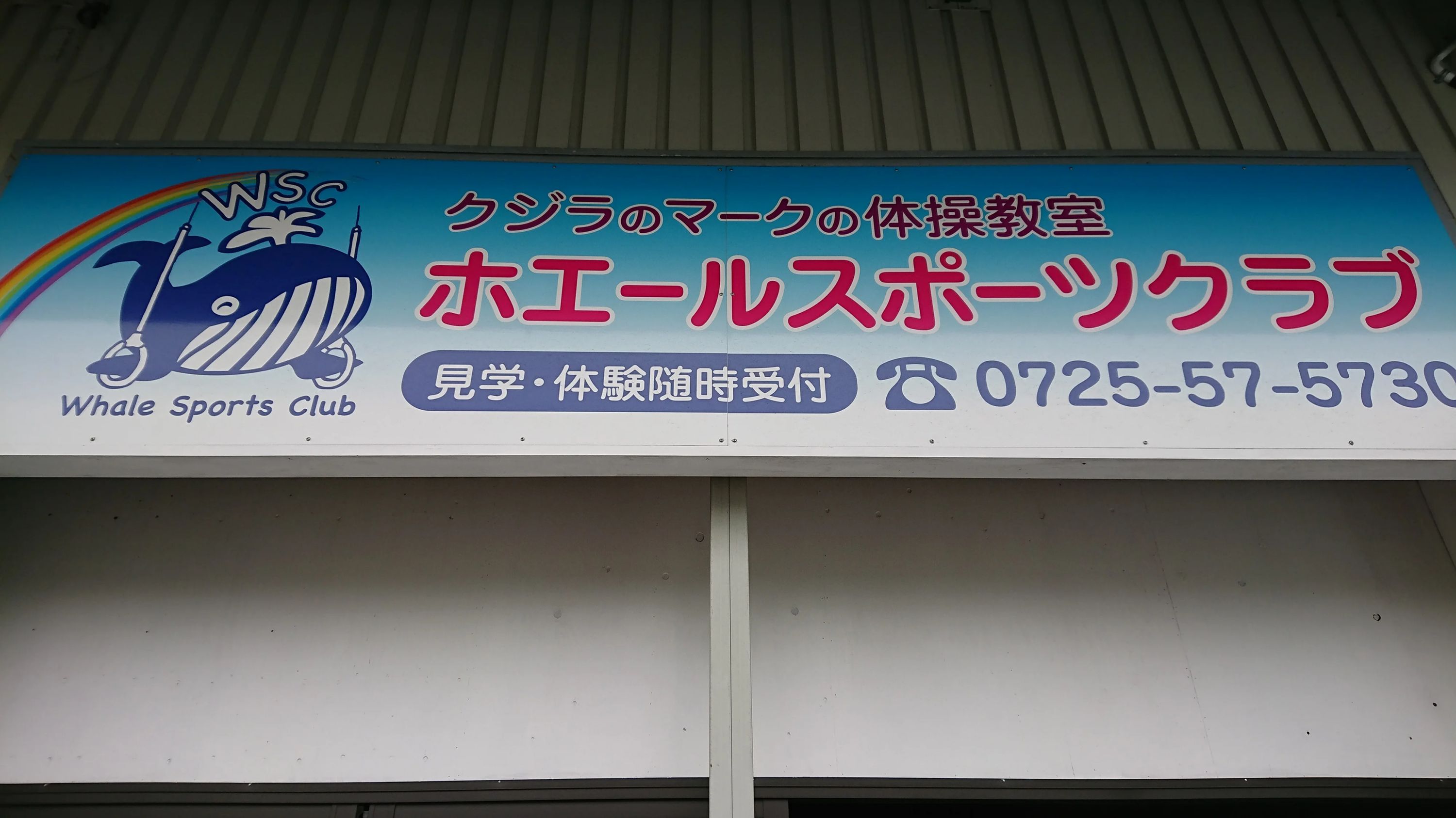 ホエールスポーツクラブ 運動・体操・陸上 万町教室のメイン画像