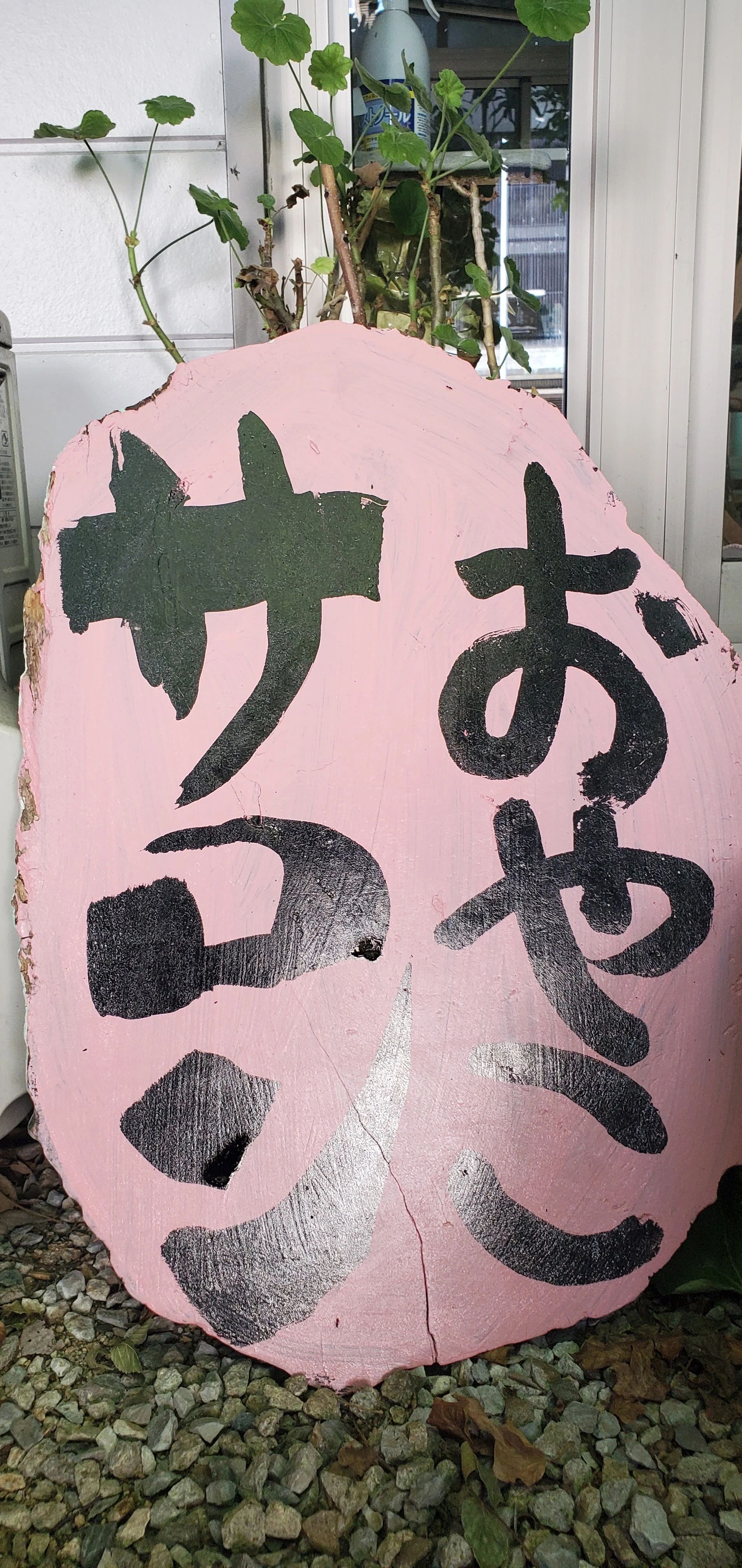 みんなげんきジム 運動・体操・陸上 神楽町教室のメイン画像