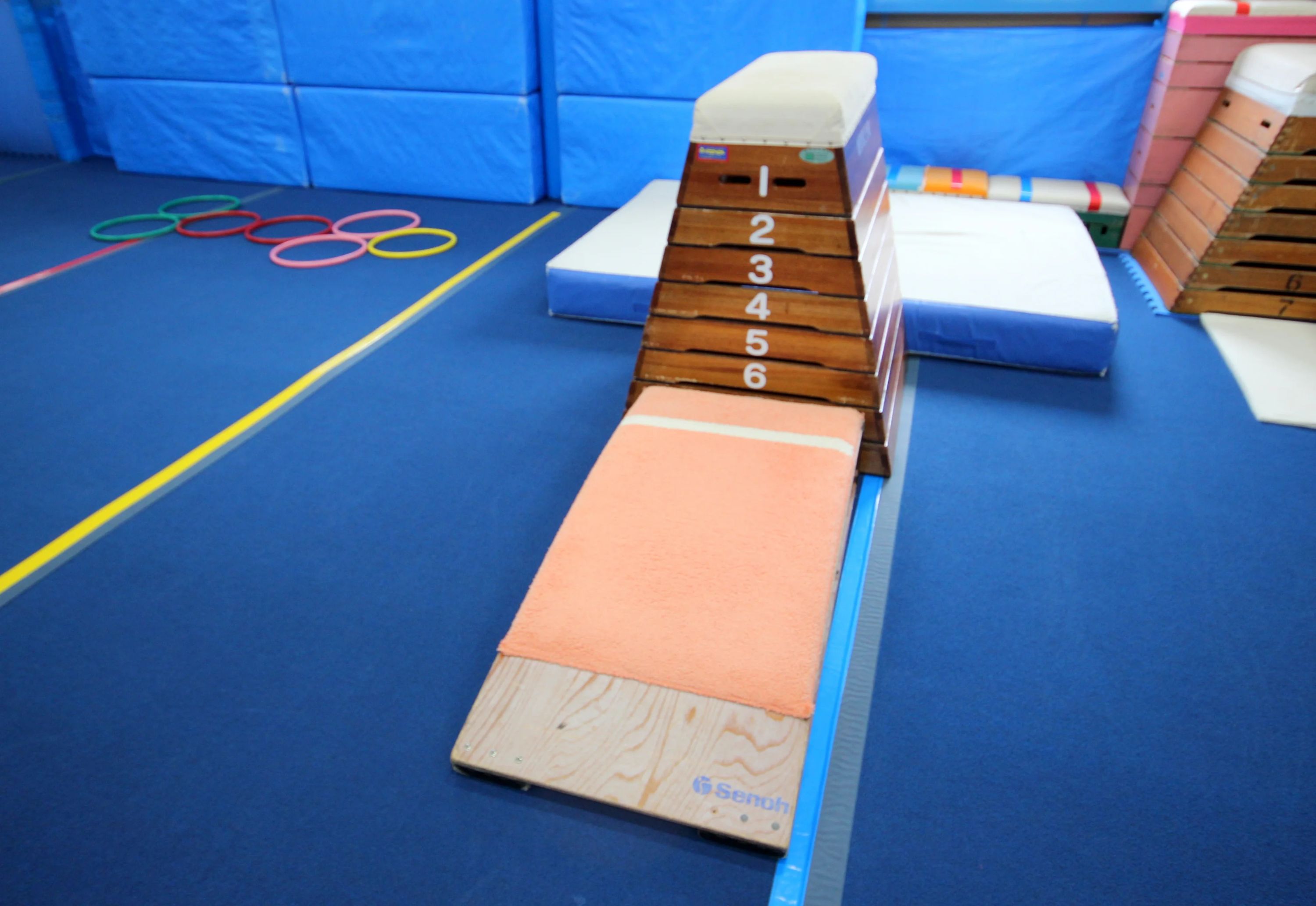 ガンバ体操クラブ 平城山教室のサムネイル画像 2