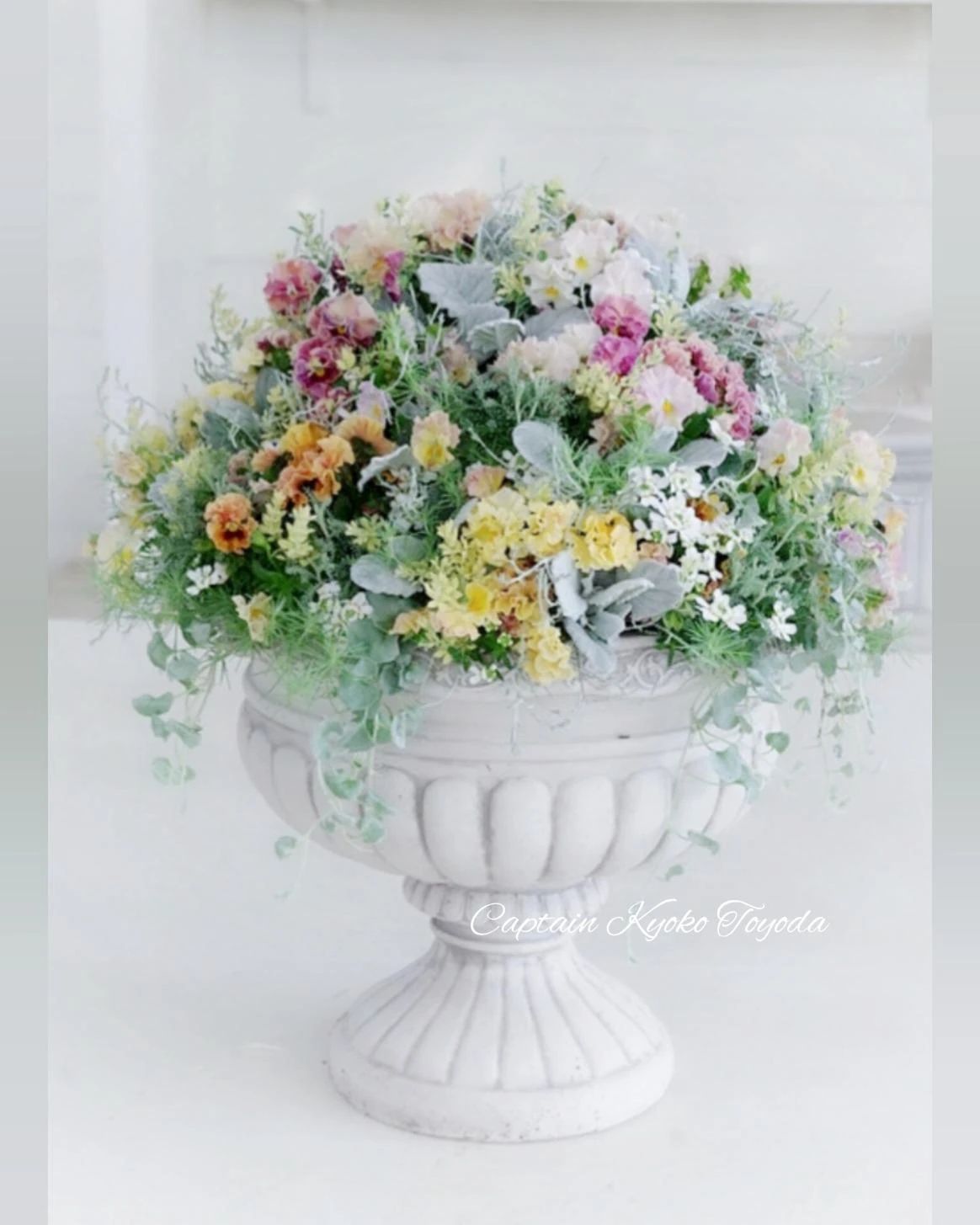 JEUGIA(ジュージャ)カルチャーセンター 運動・体操・陸上 イオンモール橿原のサムネイル画像 2