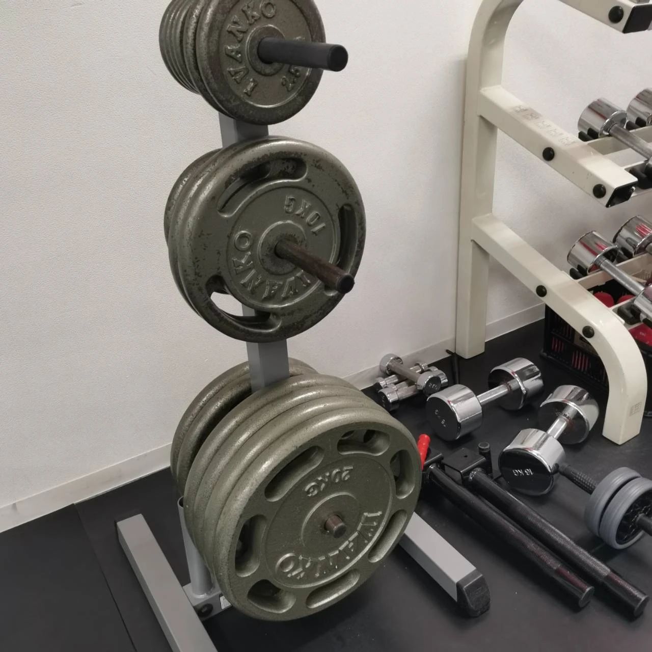 ペアーレれんがどおり 運動・体操・陸上 本校のメイン画像