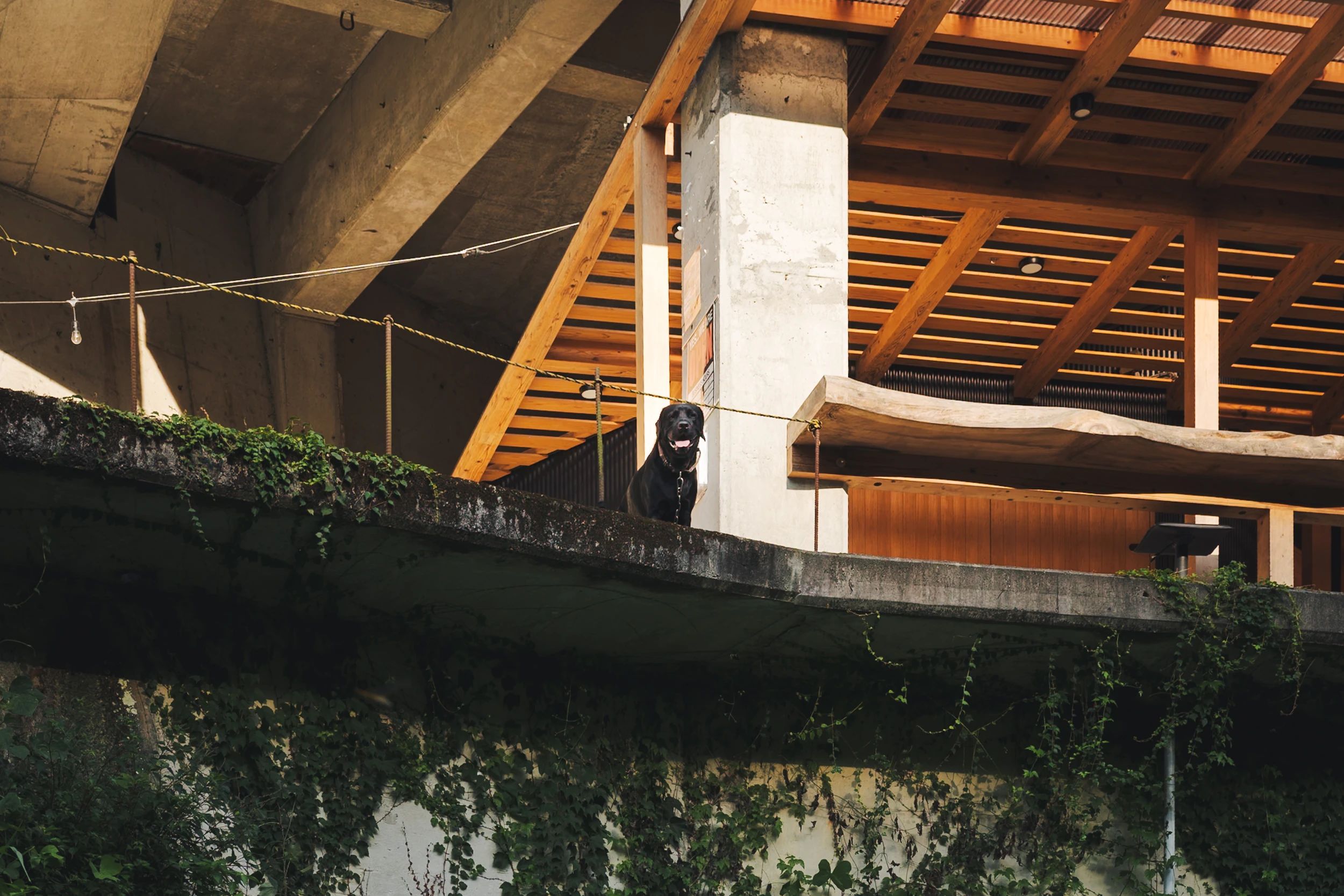 クロスフィットおおとよストレングス 東土居教室のメイン画像