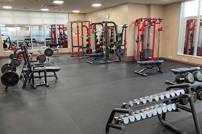 bj(バスケットボールジャパン)アカデミー スポーツクラブNAS湘南台のサムネイル画像 5