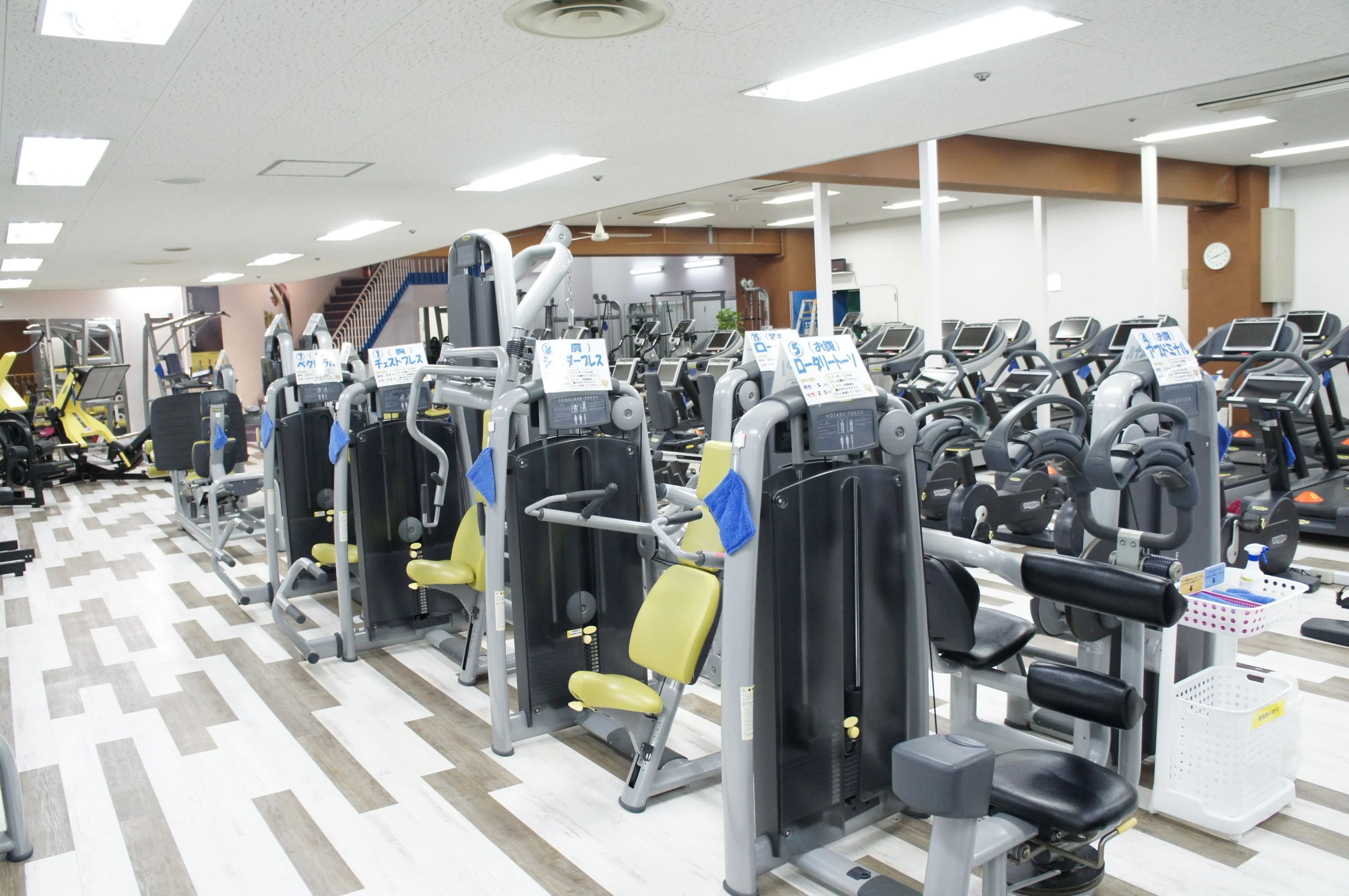 GUNZE(グンゼ) バスケットボール グンゼスポーツつかしんのサムネイル画像 2