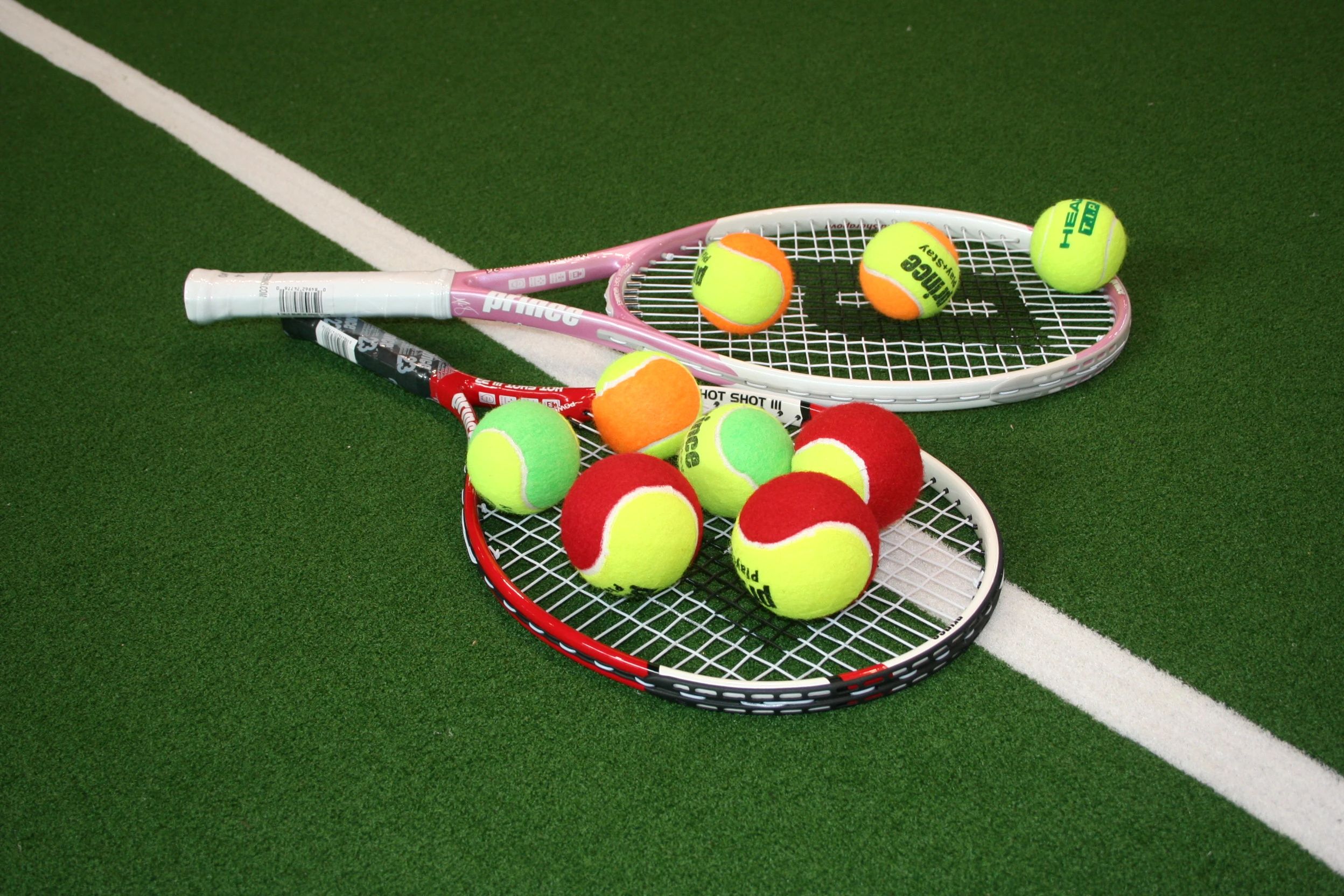 昭和の森テニスセンター 田中町教室のサムネイル画像 3