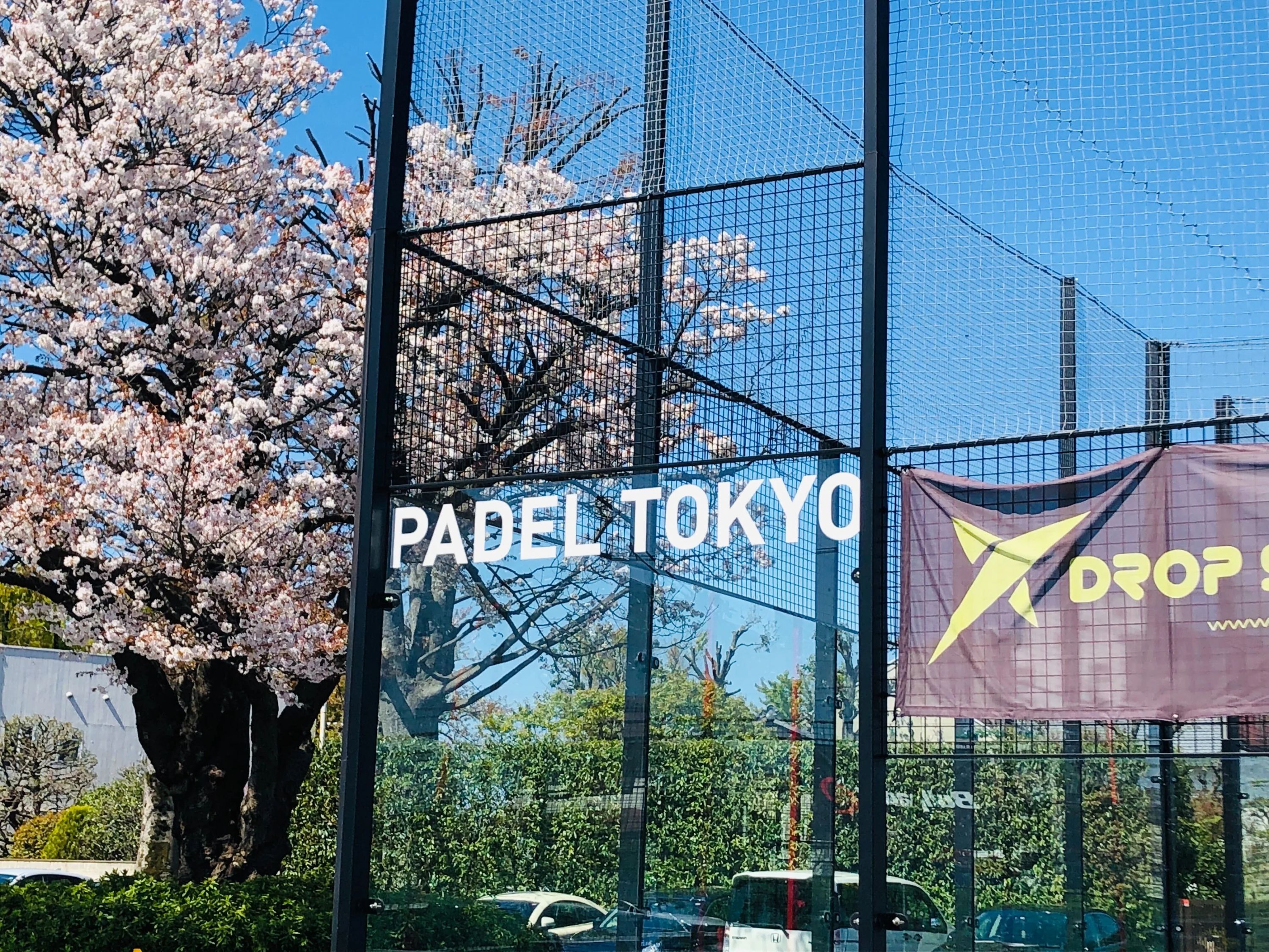 パデル東京 テニス 善福寺公園テニスクラブのサムネイル画像 2