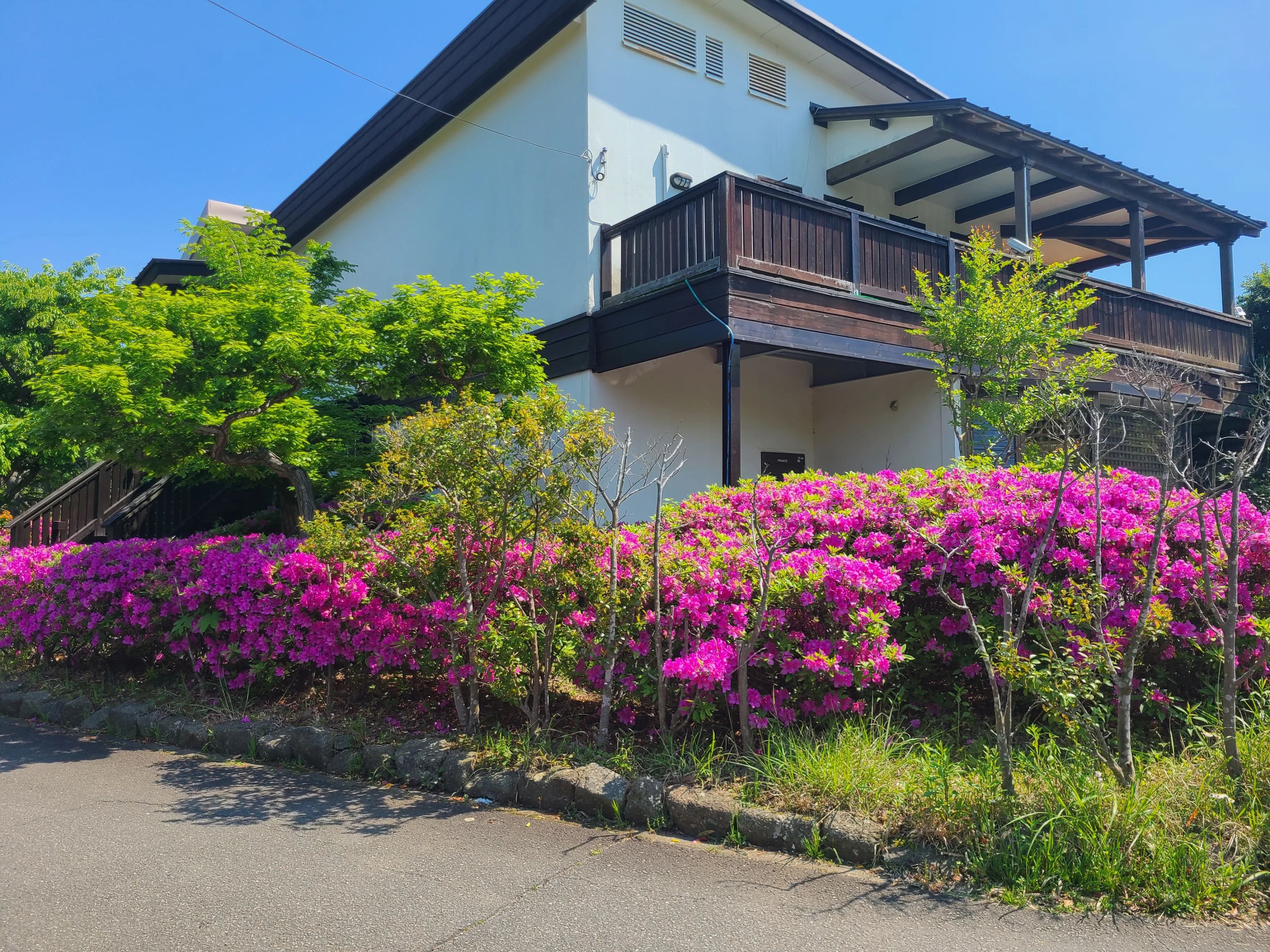 葉山テニスクラブ 池上教室のメイン画像