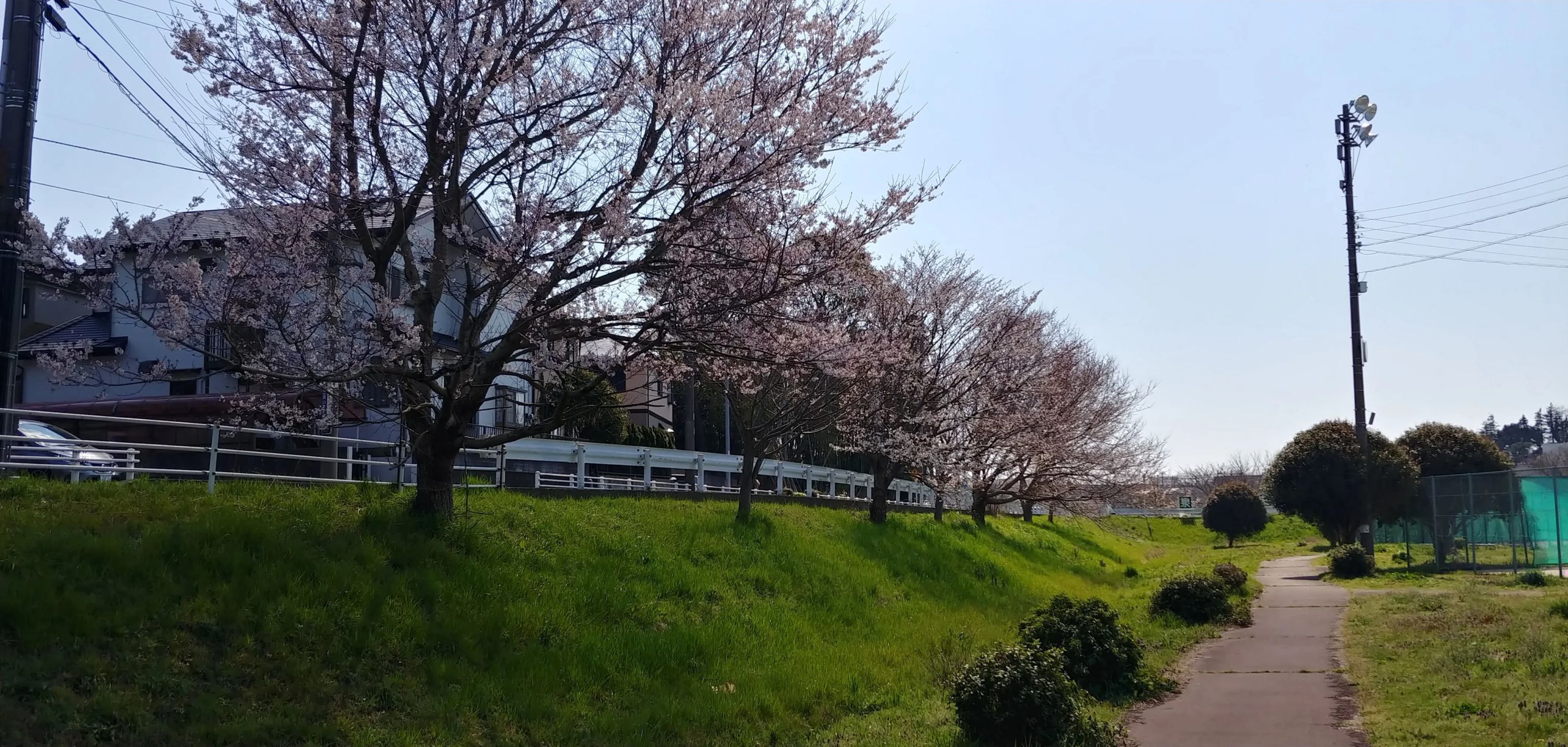 イラコテニスカレッジ 泉中央校のサムネイル画像 5