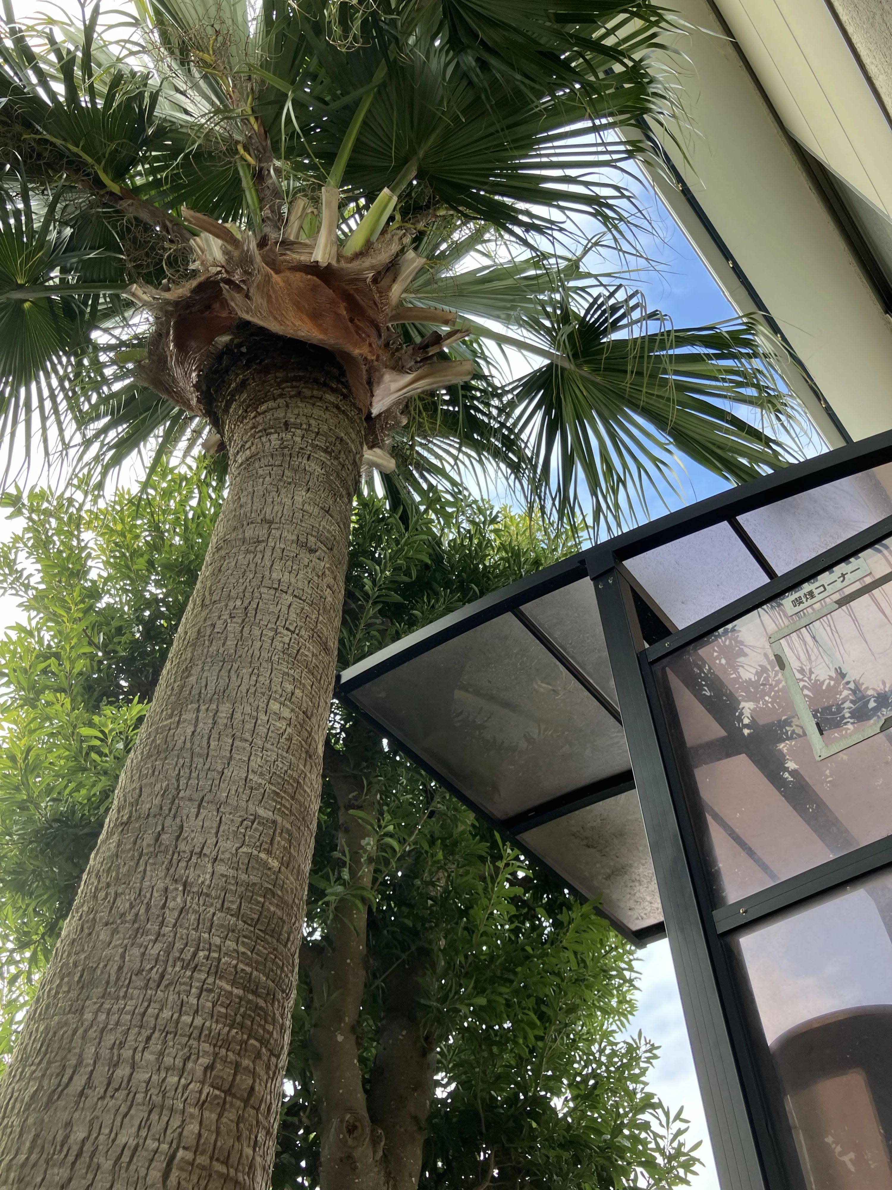 イザワテニスガーデンテニススクール 石川教室のサムネイル画像 3