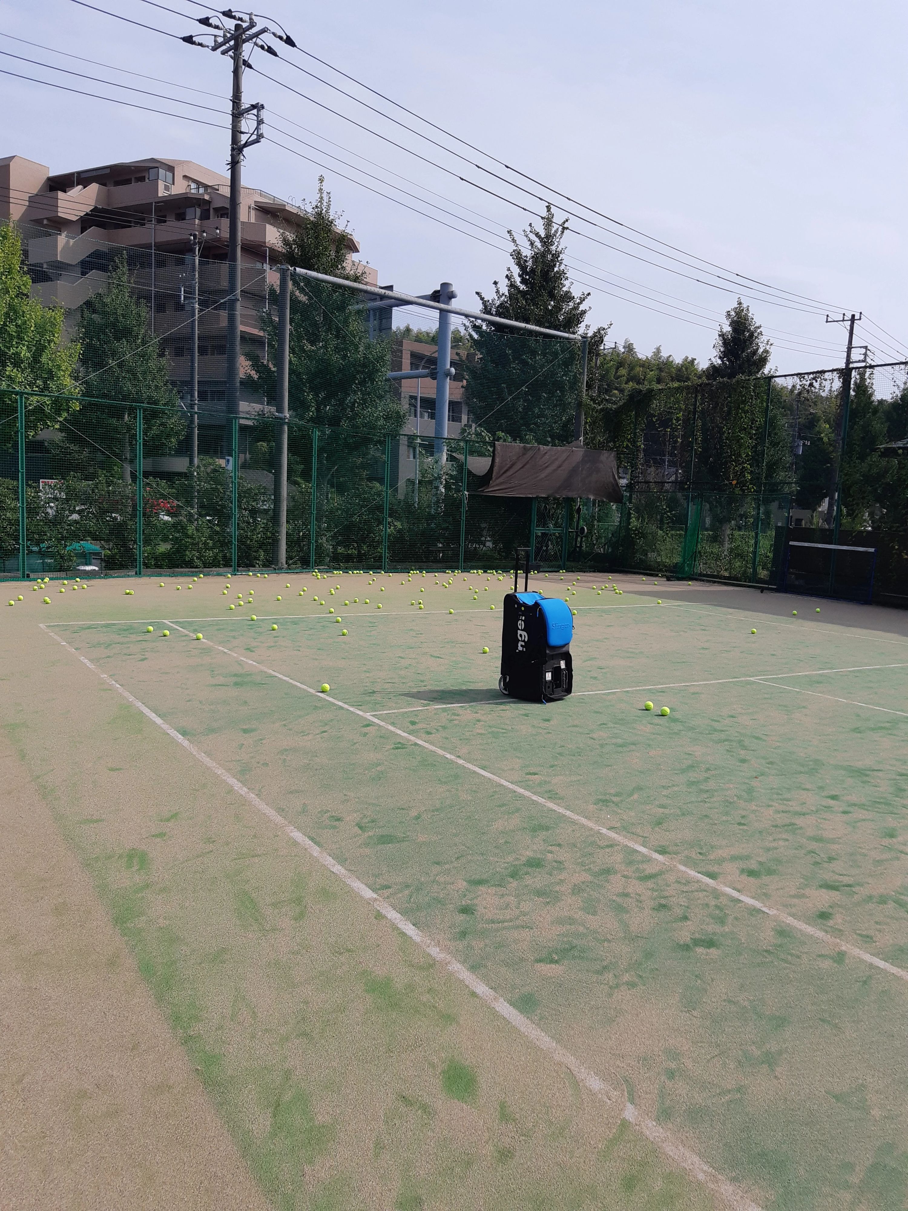 サンブリッジテニススクール 小菅ヶ谷教室のサムネイル画像 2