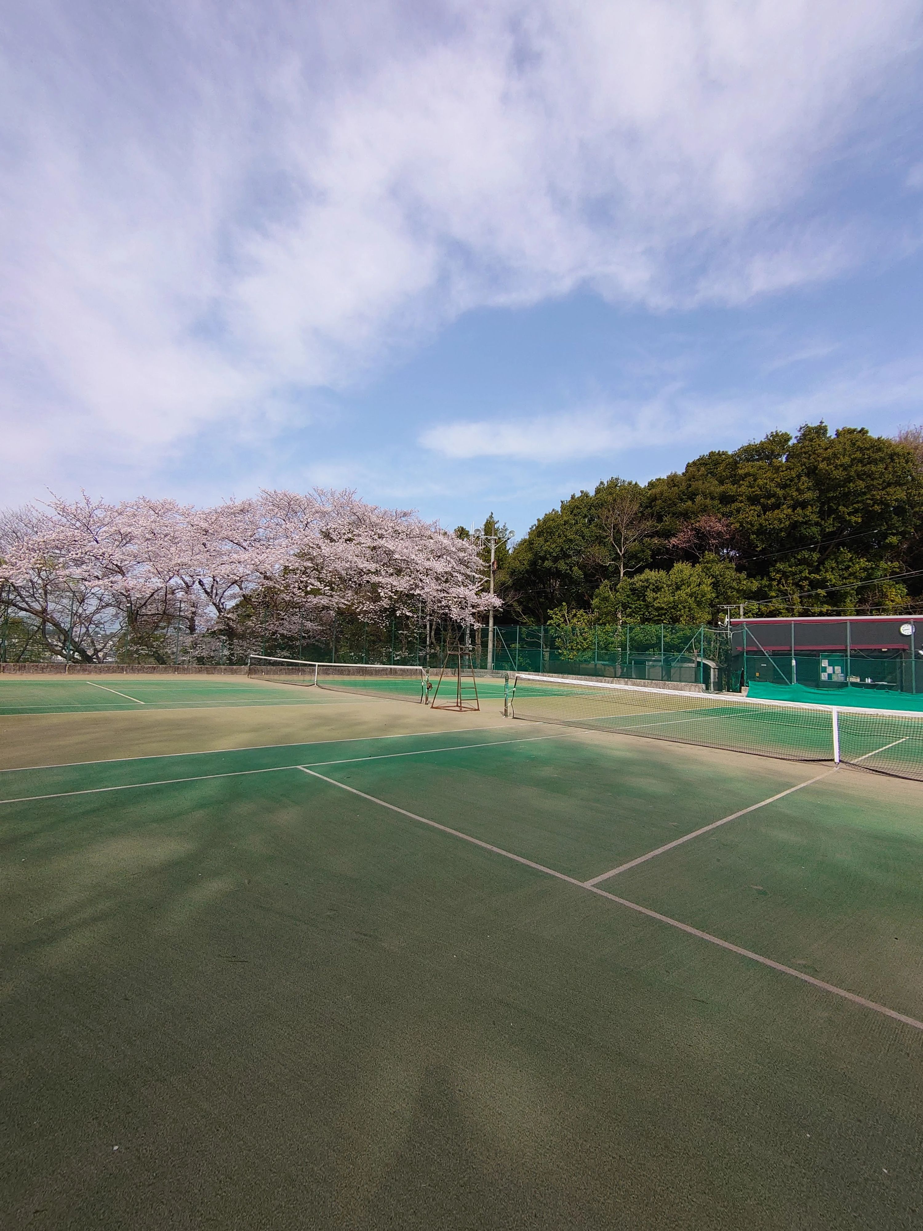 都岡テニスガーデン 本校のサムネイル画像 4