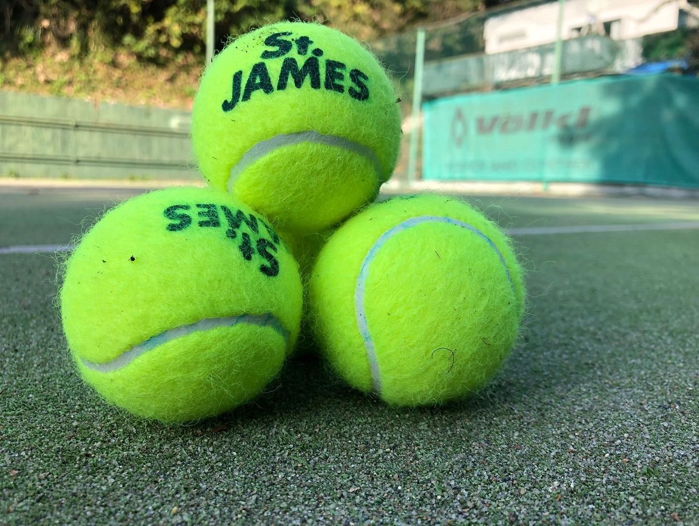 Sun Tennis Garden 中井町教室のサムネイル画像 3