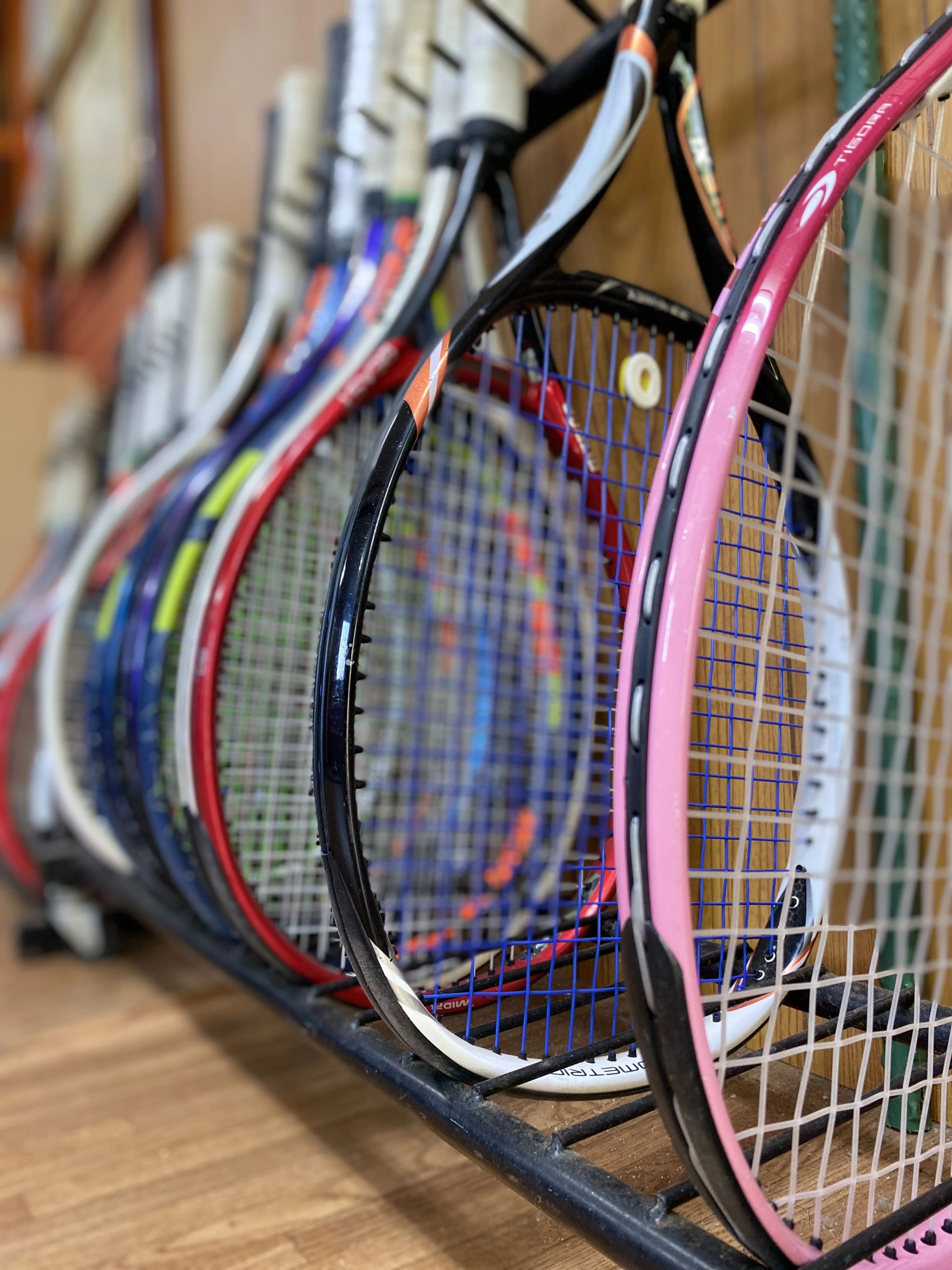 Sun Tennis Garden 中井町教室のサムネイル画像 5