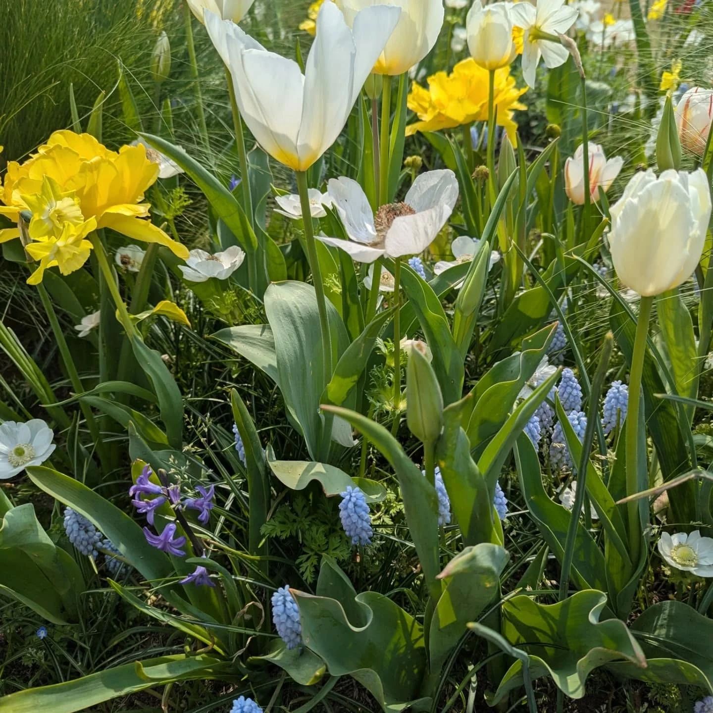 松原テニススクール 東戸塚教室のサムネイル画像 5