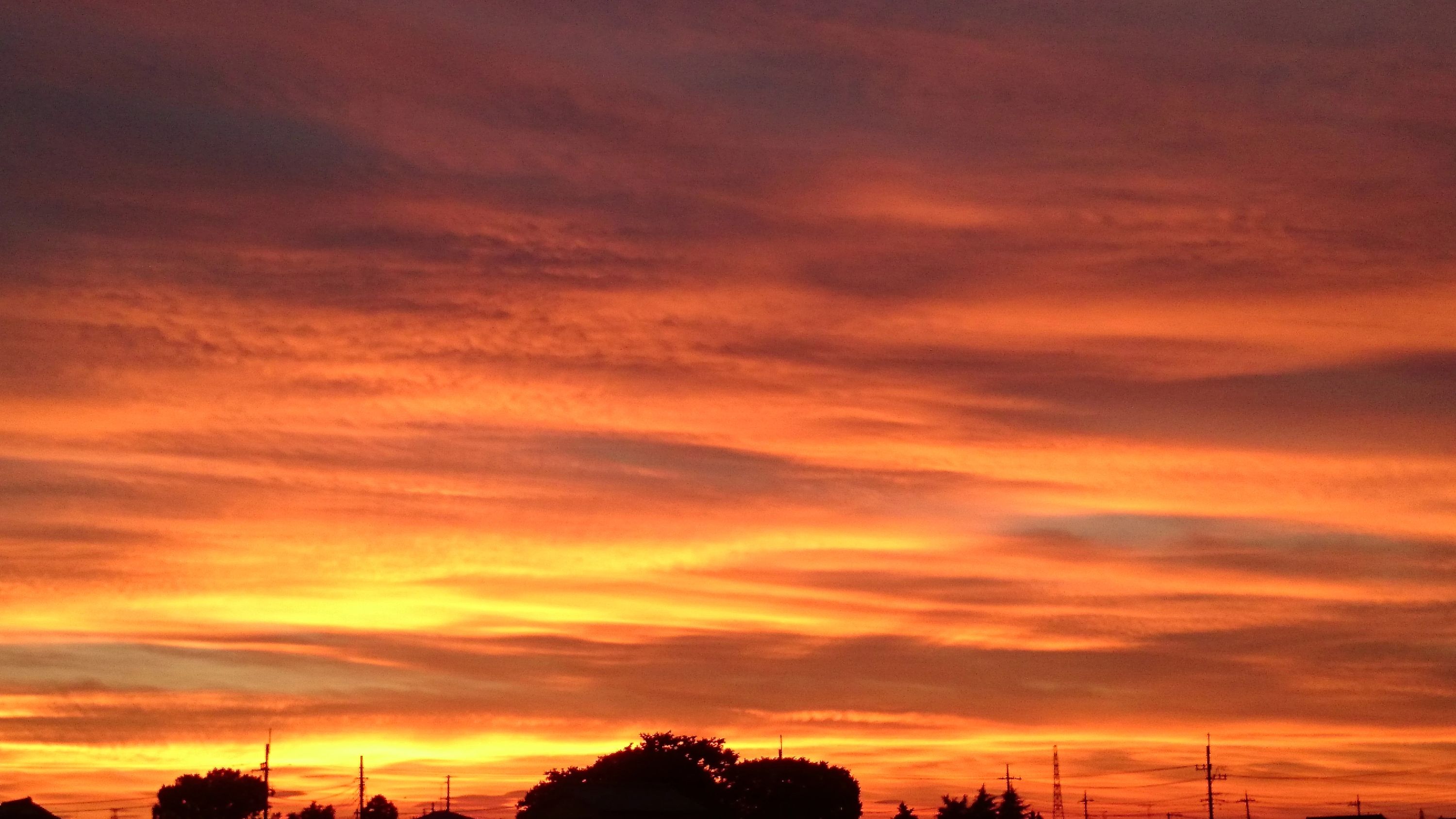 SEED TENNIS CLUB(シードテニスクラブ) 栄教室のサムネイル画像 3