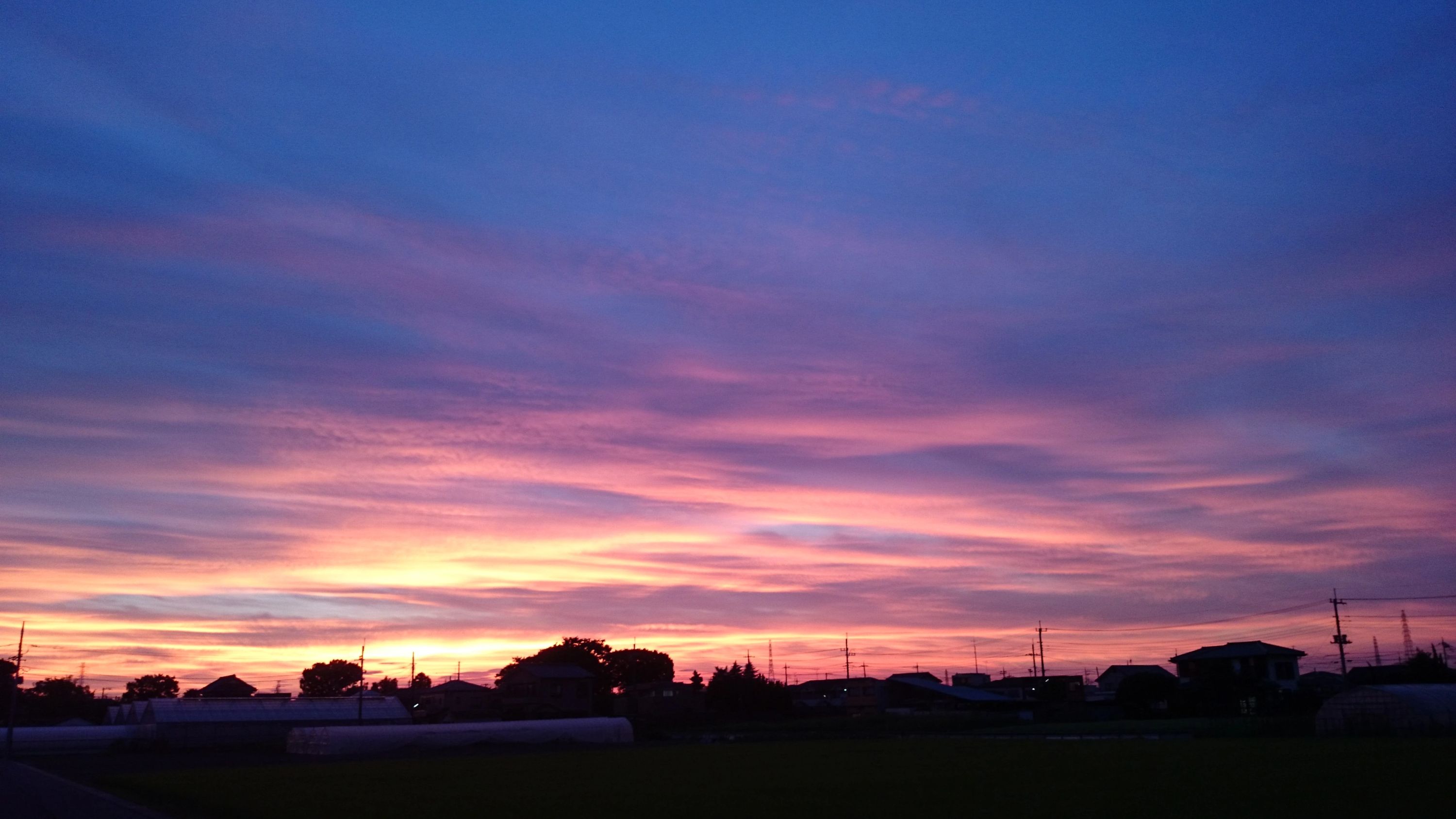 SEED TENNIS CLUB(シードテニスクラブ) 栄教室のサムネイル画像 5