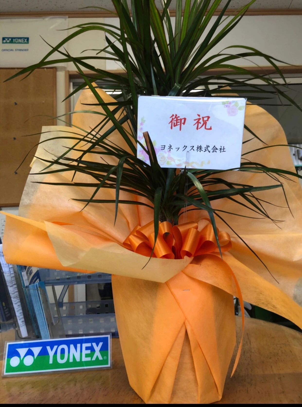 石井真テニスアカデミー 川越スクールのメイン画像